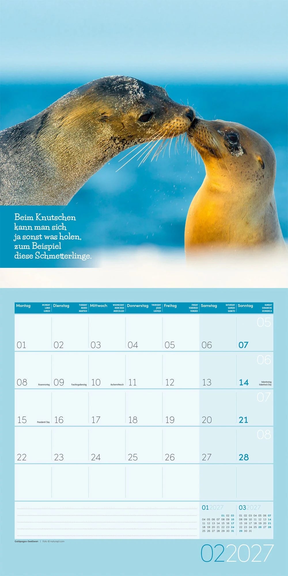 Keep Smiling Kalender 2027 - 30x30 - Art12 – Ansicht