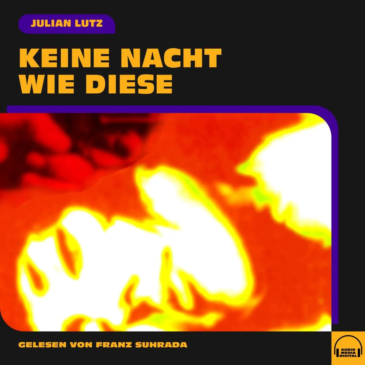 Cover: Keine Nacht wie diese (Hörbuch Download) von Julian Lutz