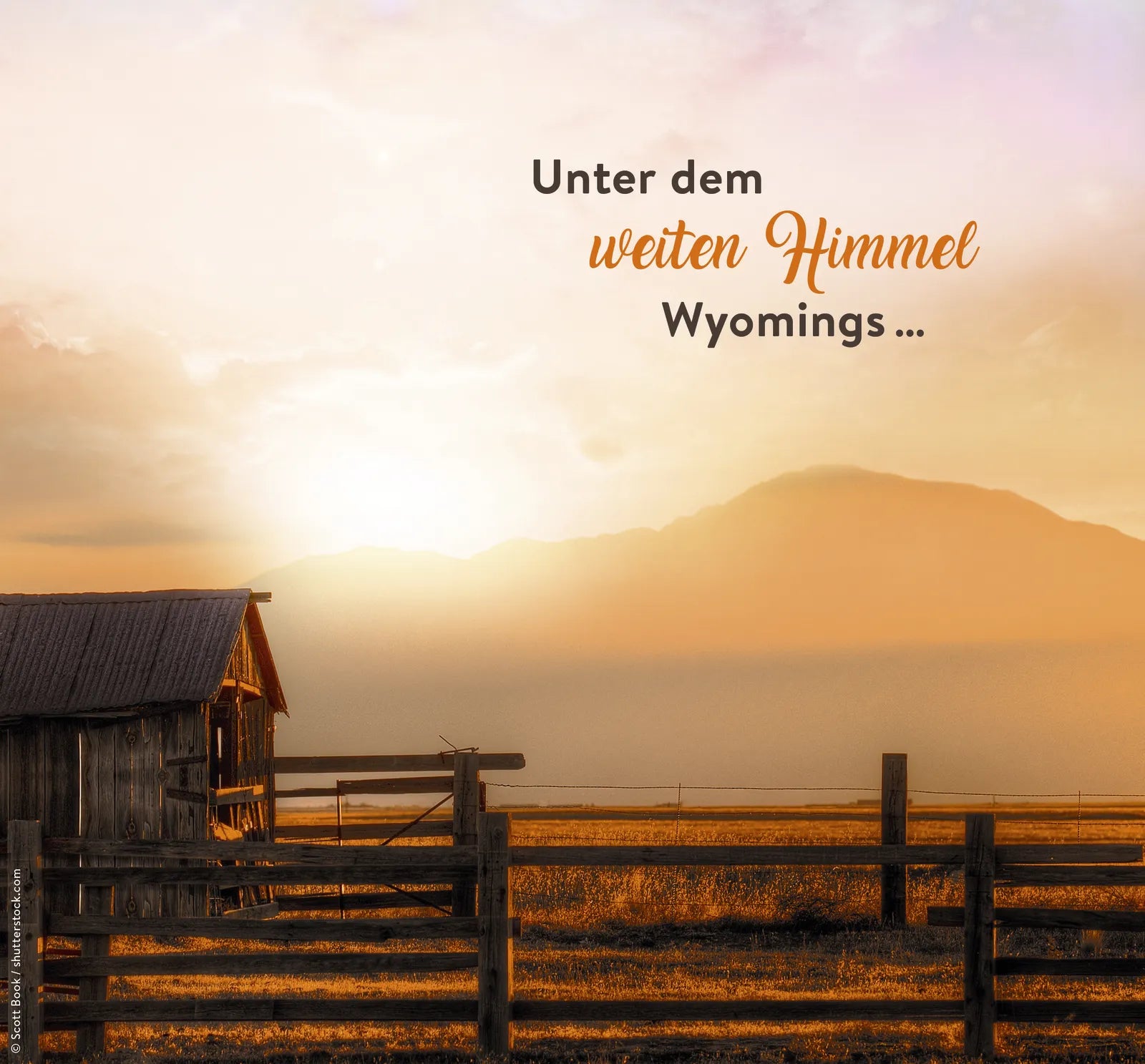 Produktansicht: Wildflower Summer – In diesem Moment (Paperback)