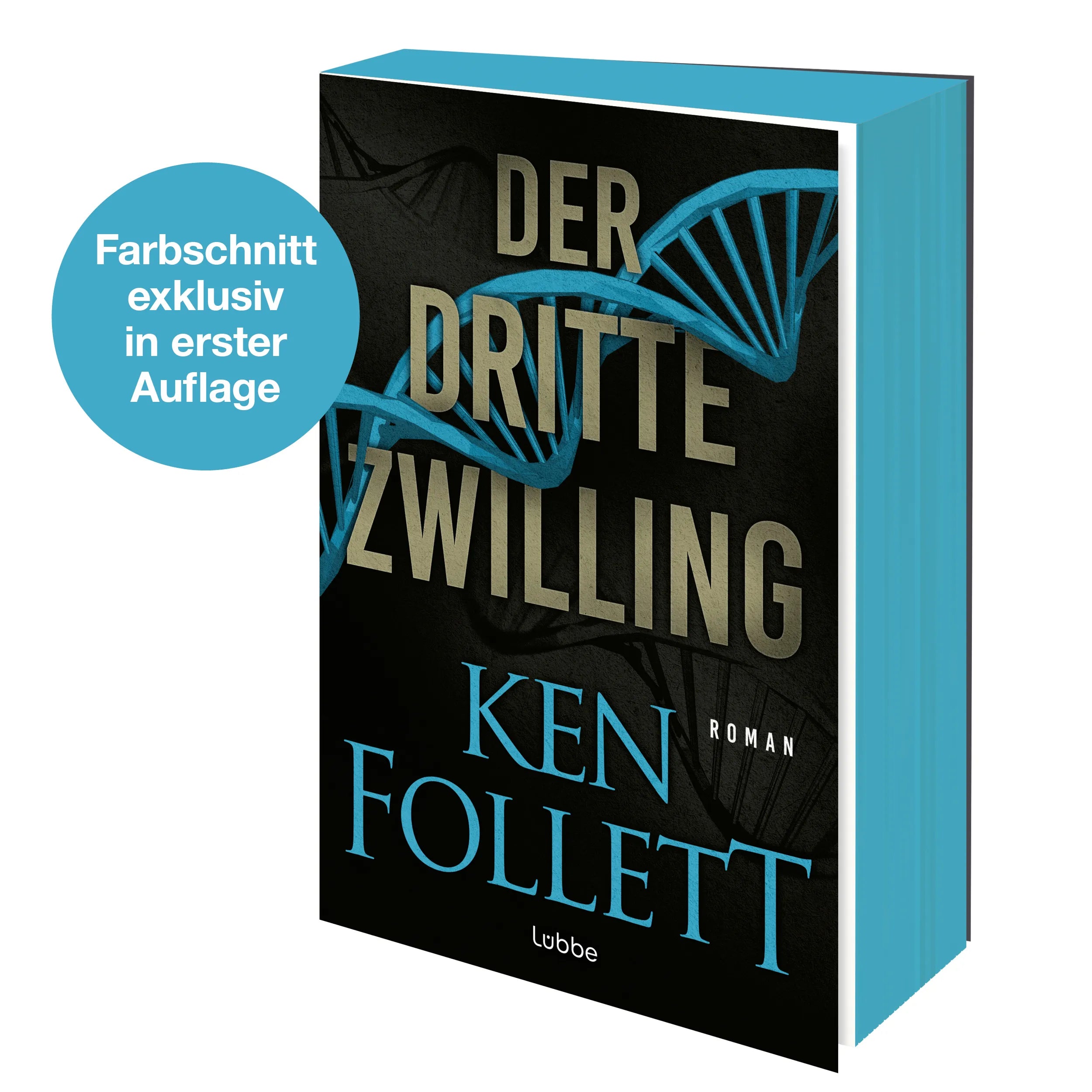 Produktansicht: Der dritte Zwilling (Taschenbuch)