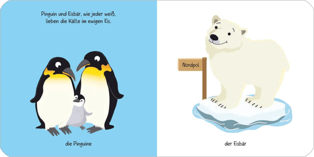 Detailansicht: Kennst du das? Babys erstes Bildwörterbuch. Jeden Tag ein neues Tier (Hardcover)