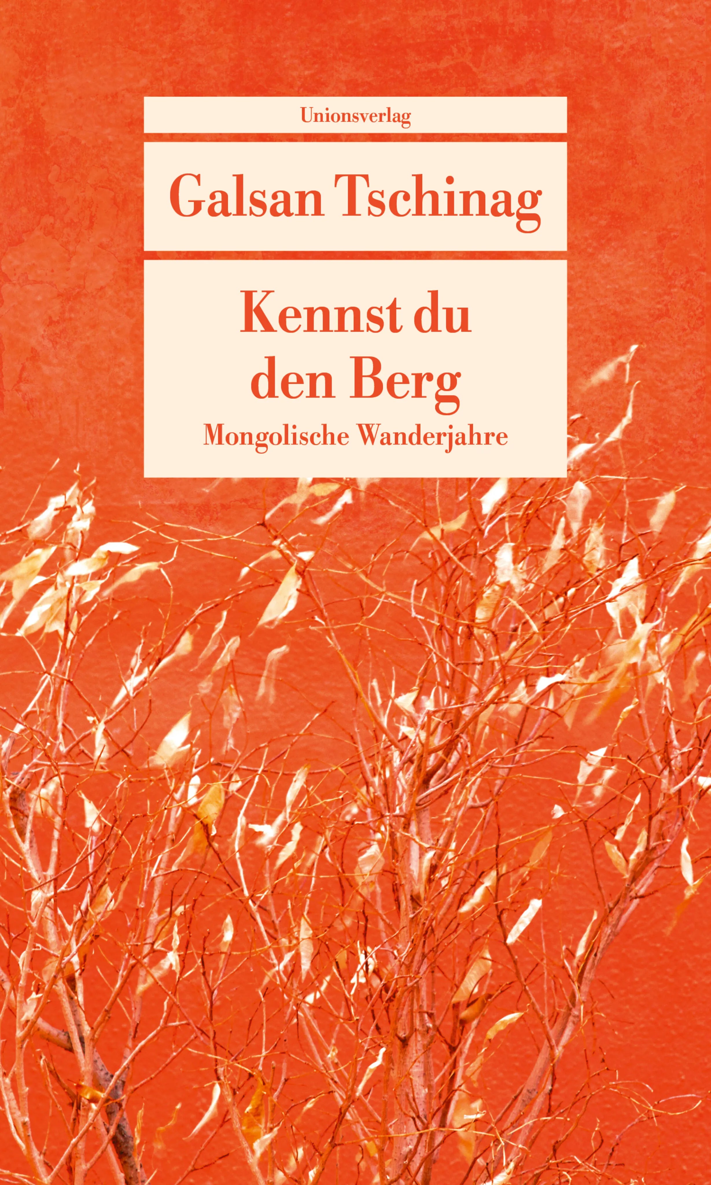 Buchcover von 'Kennst du den Berg' - Taschenbuch von Galsan Tschinag