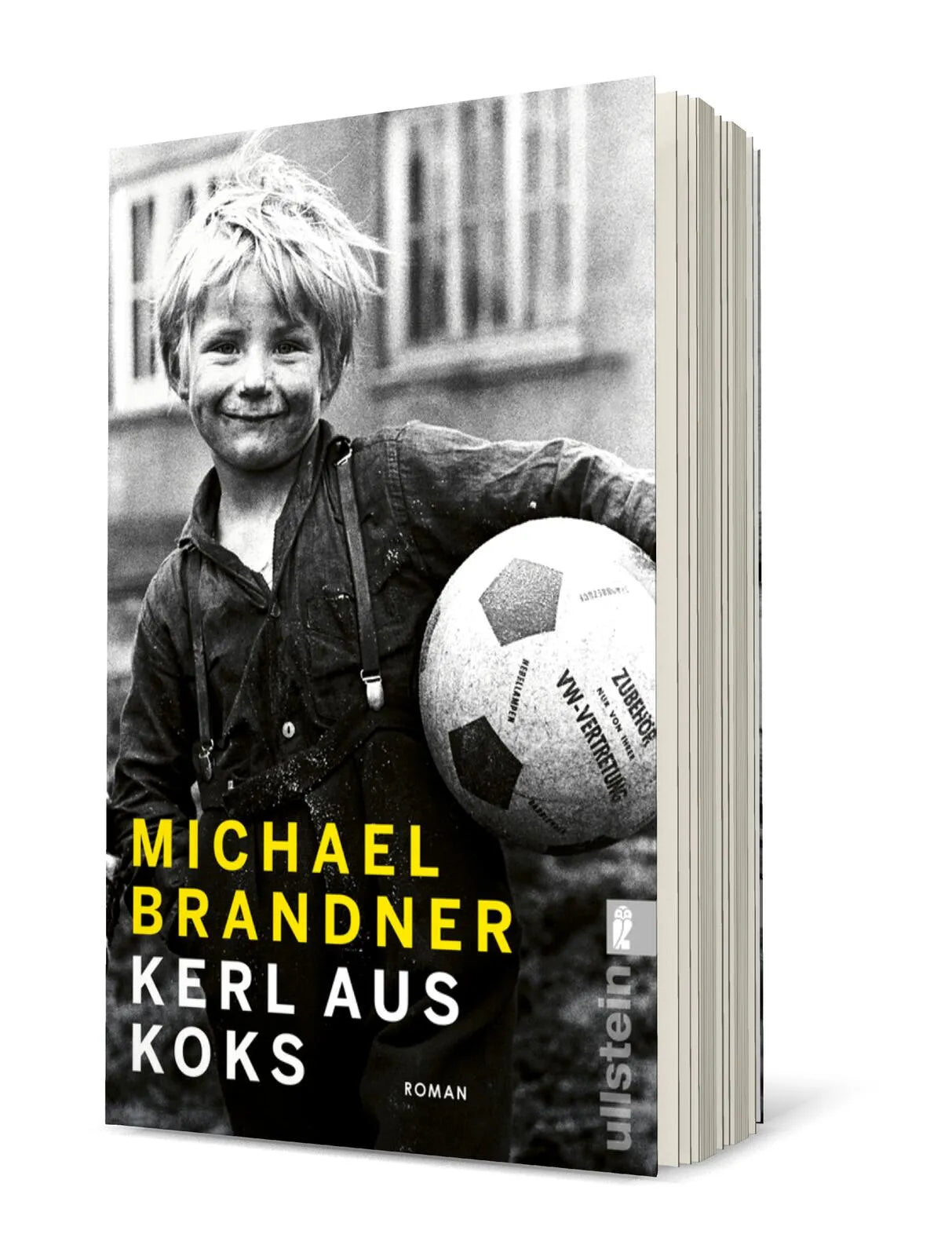 Detailansicht: Kerl aus Koks (Taschenbuch)