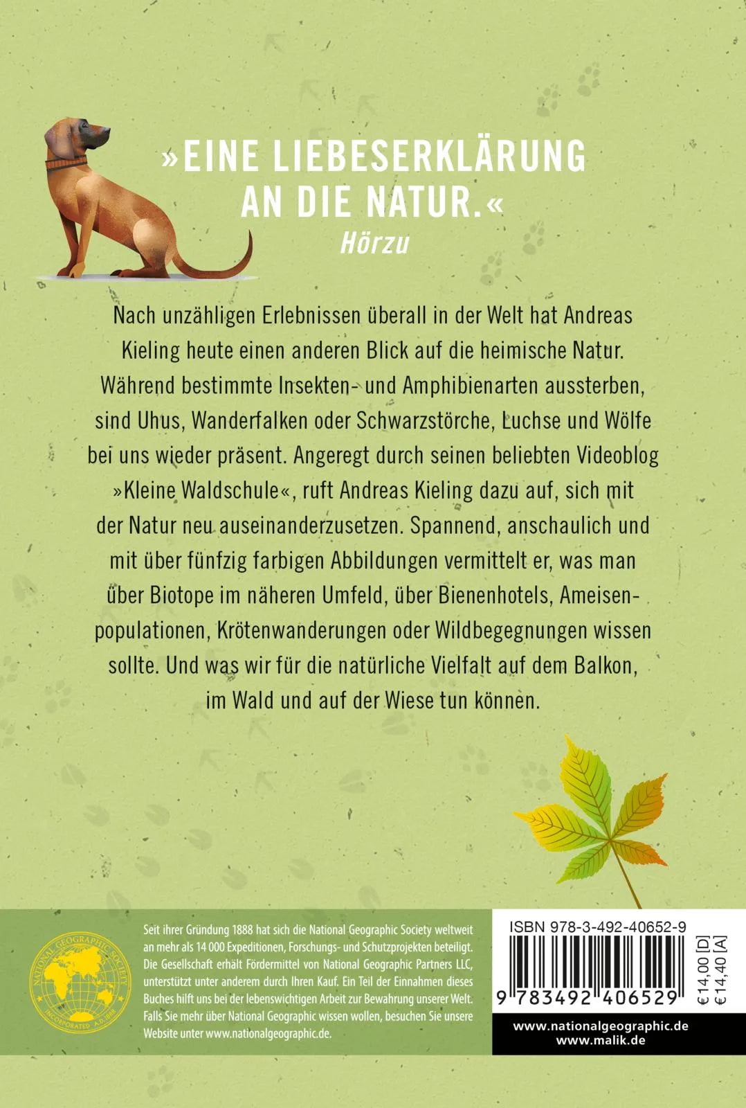 Buchrückseite von 'Kielings kleine Waldschule' mit Klappentext - Taschenbuch