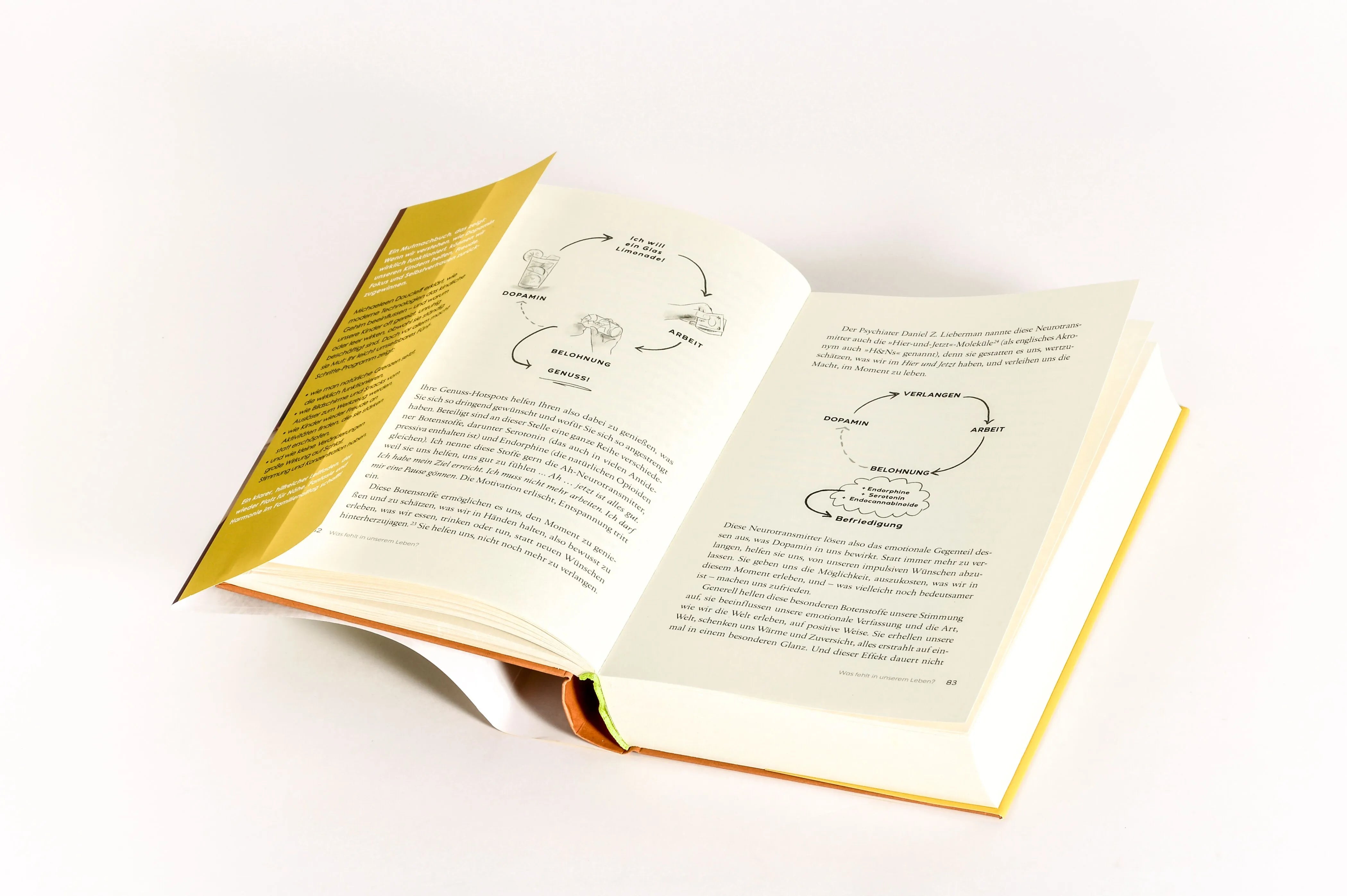 Detailansicht: Kinder brauchen Dopamin (Hardcover)