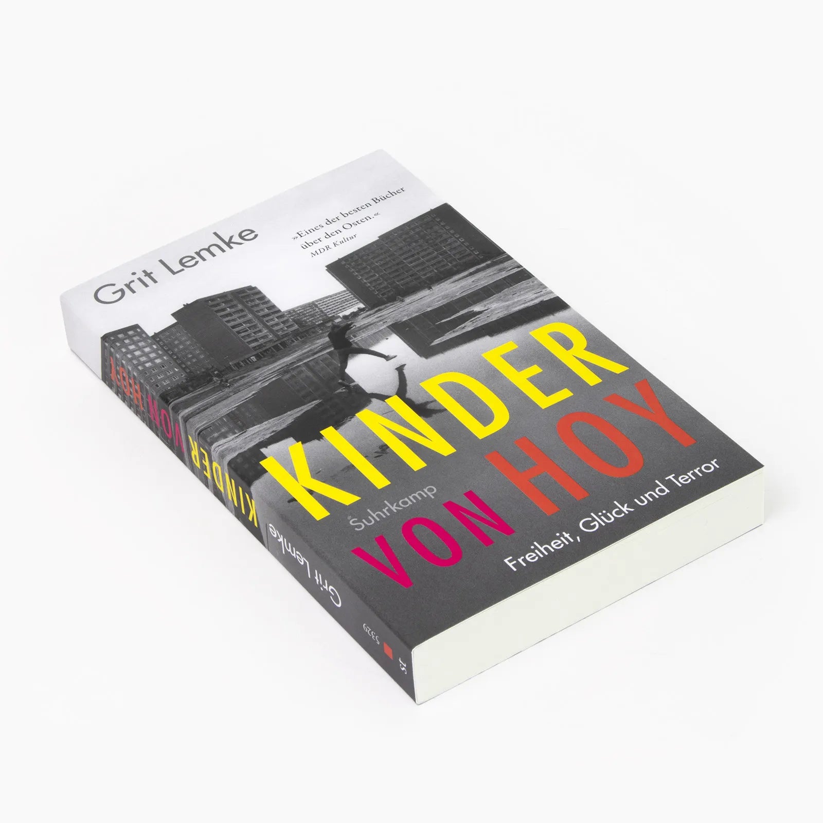 Produktansicht: Kinder von Hoy (Taschenbuch)