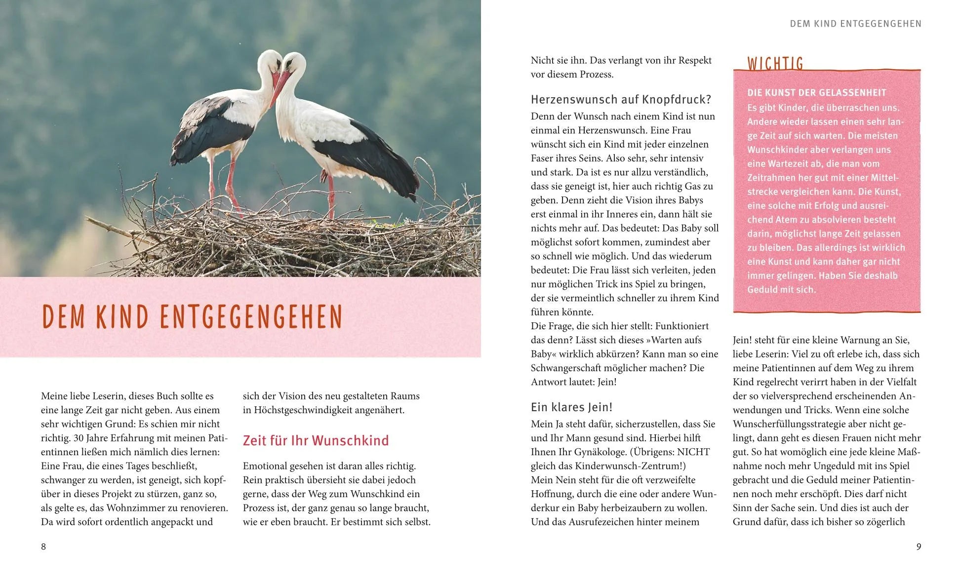 Abbildung von 'Kinderwunsch'