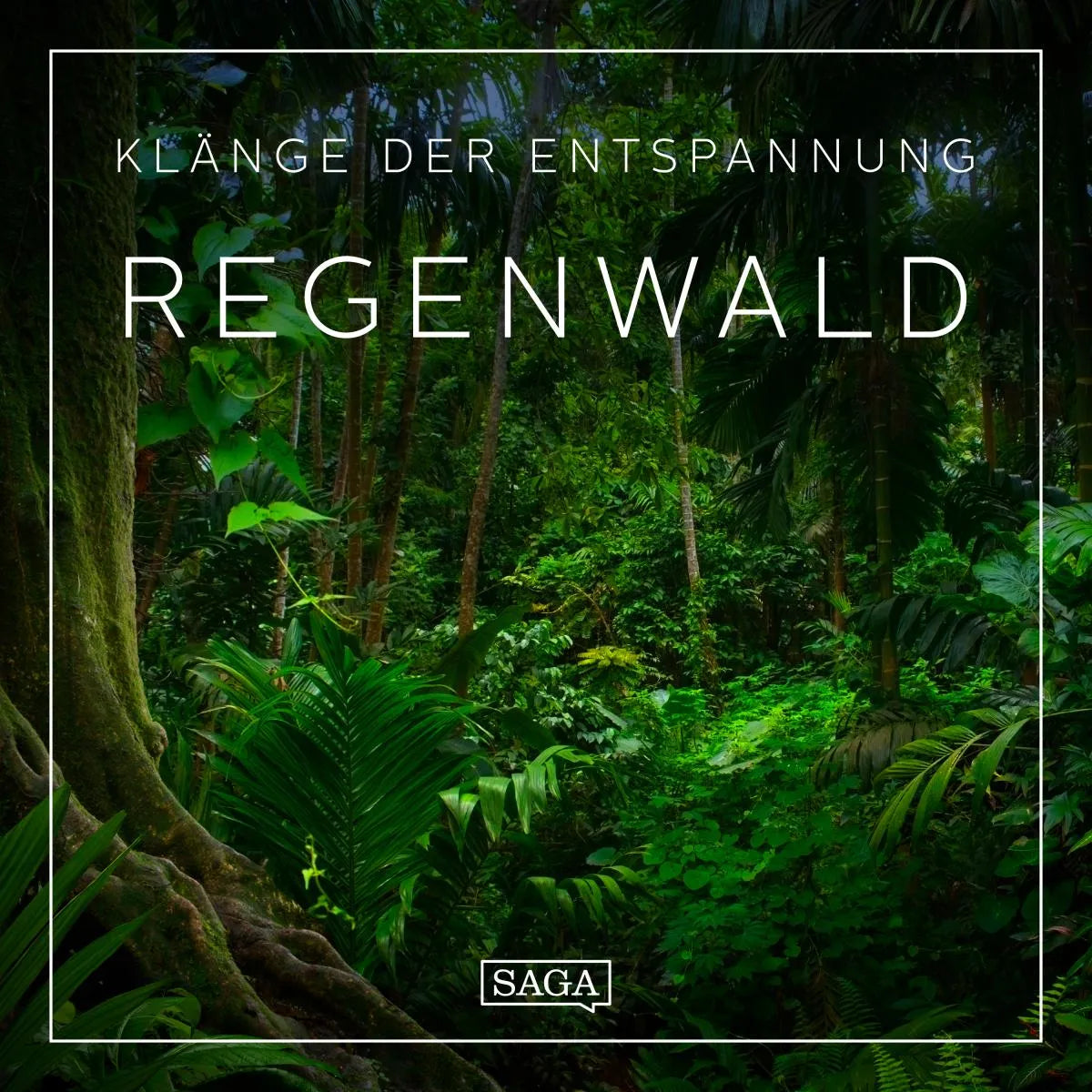 Cover: Klänge der Entspannung - Regenwald (Hörbuch Download) von Rasmus Broe