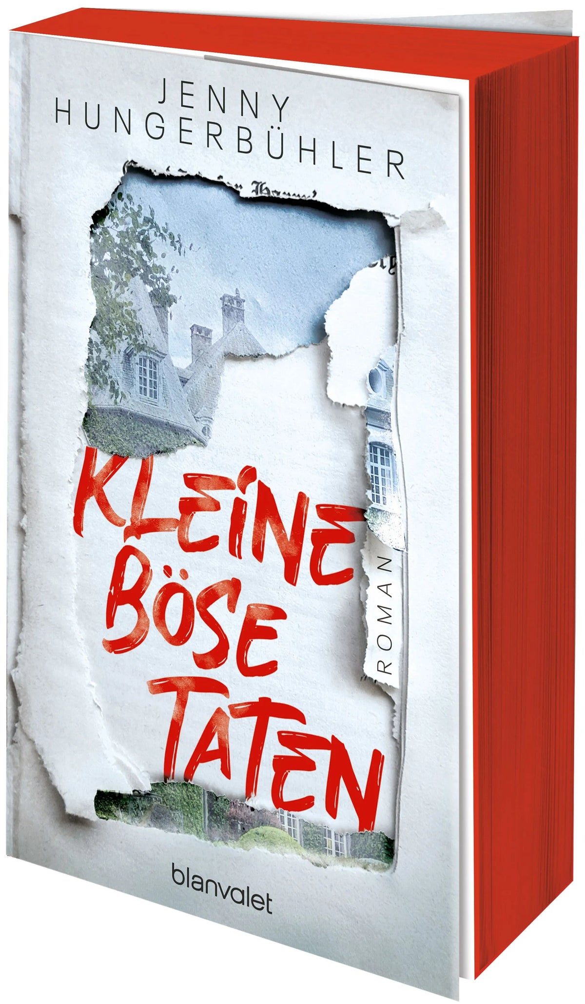 Cover: Kleine böse Taten (Paperback) von Jenny Hungerbühler