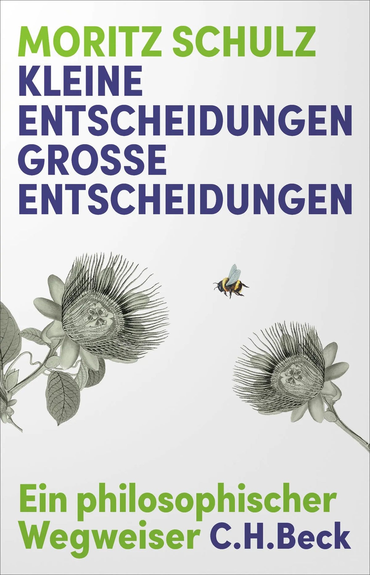 Cover: Kleine Entscheidungen, große Entscheidungen (Hardcover) von Moritz Schulz