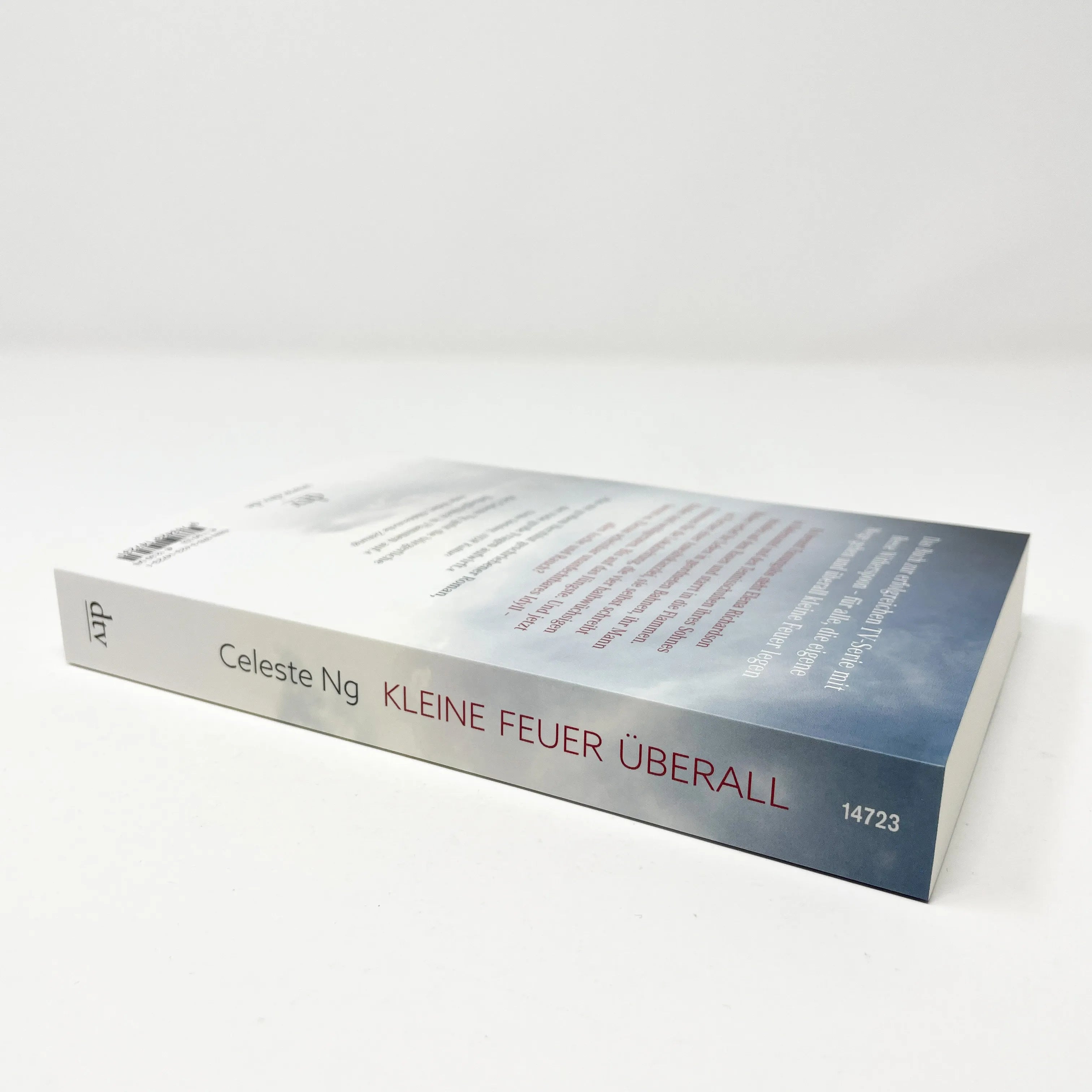 Produktansicht: Kleine Feuer überall (Taschenbuch)