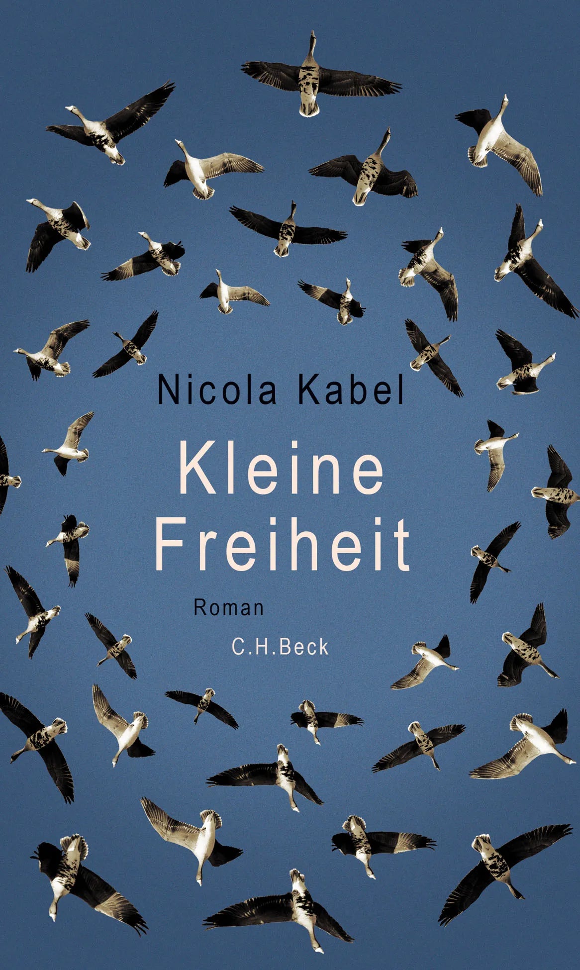 Buchcover von 'Kleine Freiheit' - Gebundene Ausgabe von Nicola Kabel
