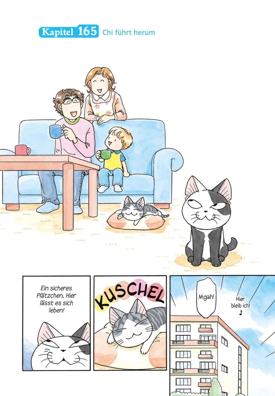 Produktansicht: Kleine Katze Chi 10 (Taschenbuch)