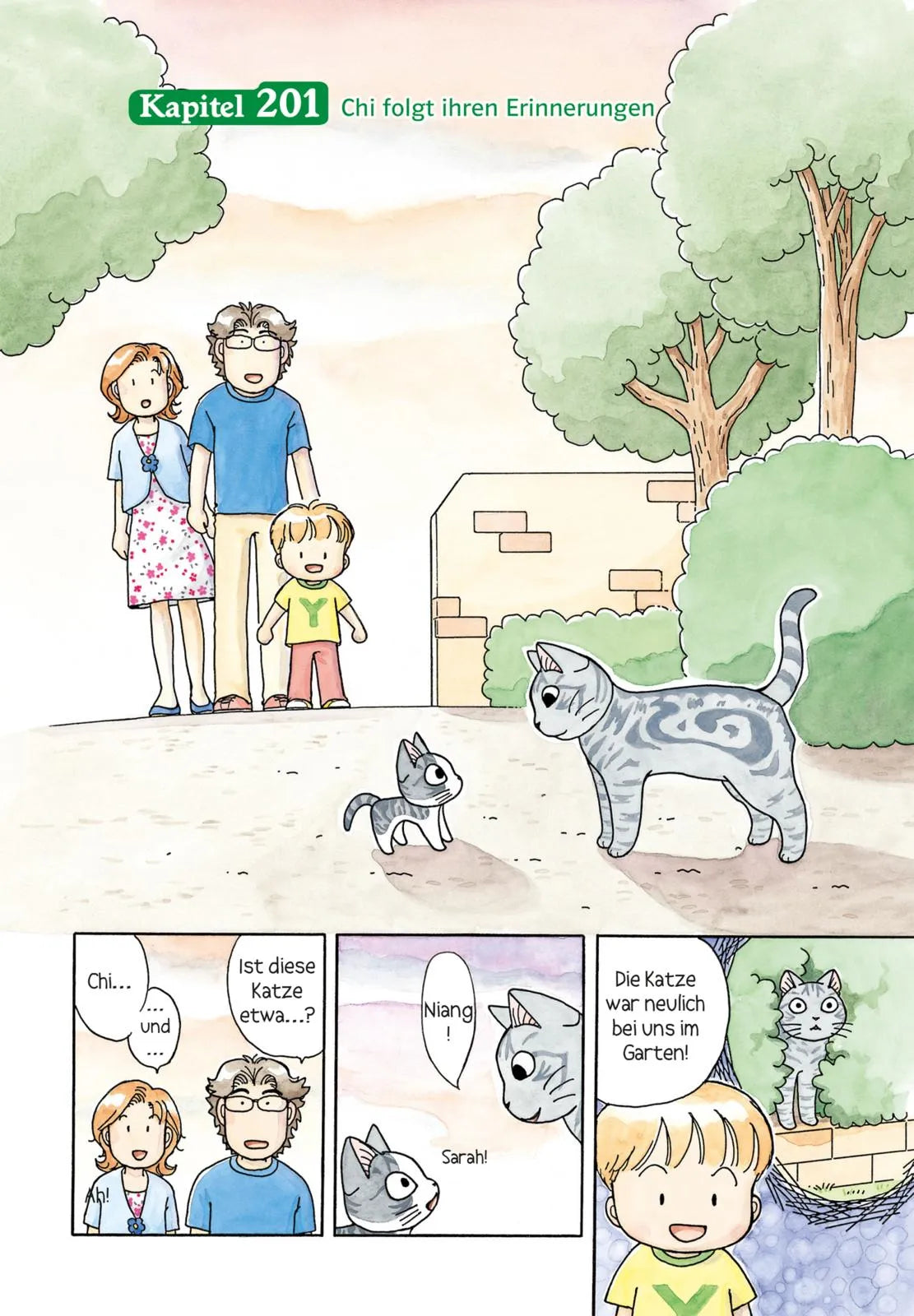 Produktansicht: Kleine Katze Chi 12 (Taschenbuch)