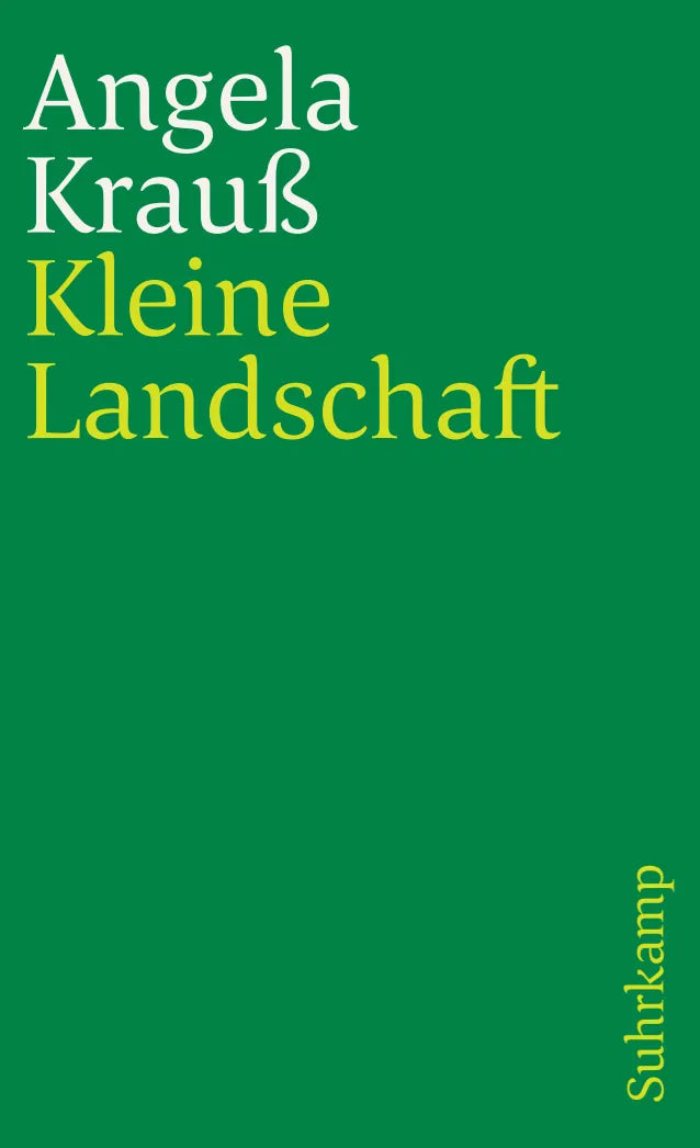 Buchcover von 'Kleine Landschaft' - Taschenbuch von Angela Krauß