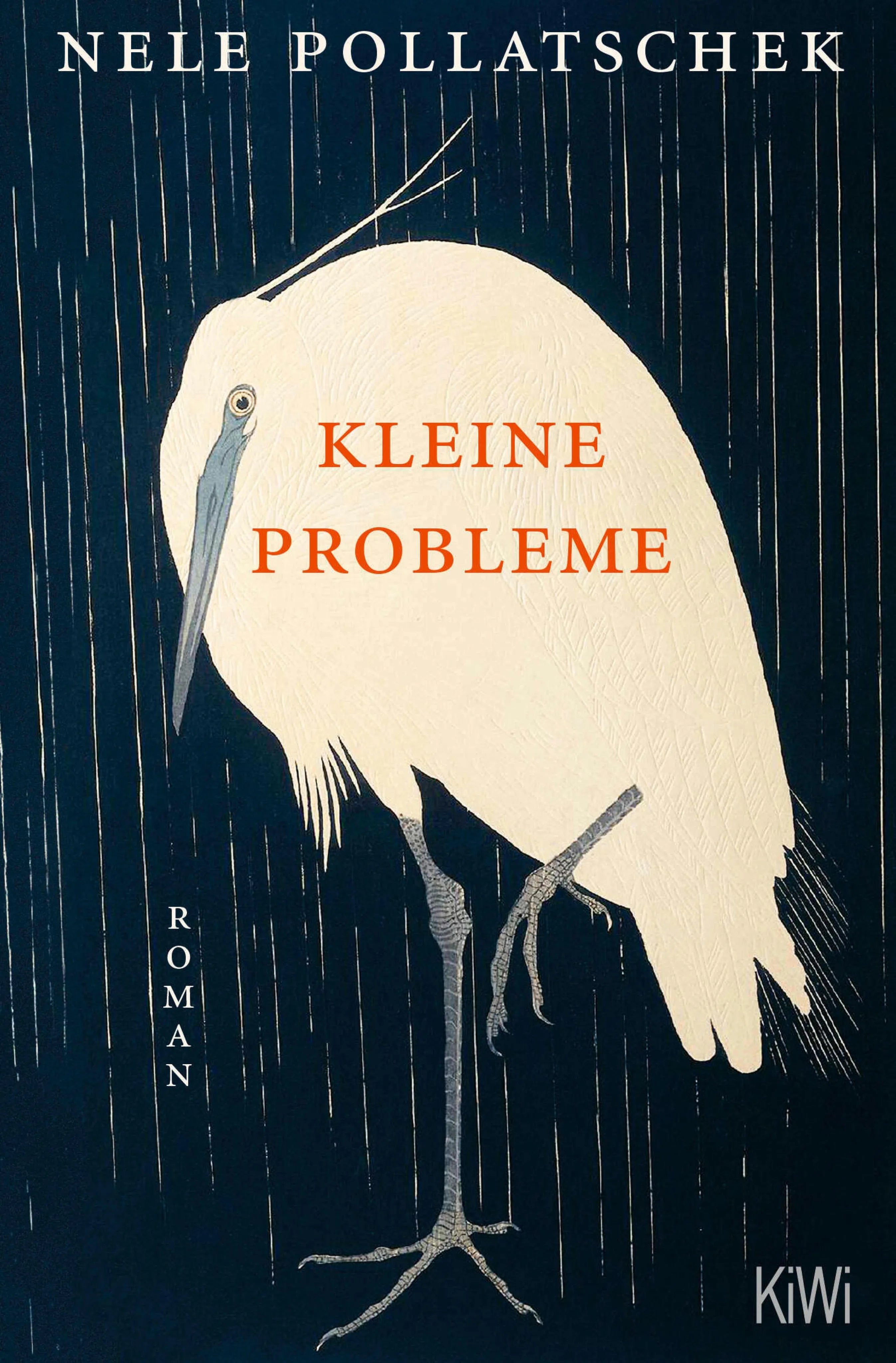Cover: Kleine Probleme (E-Book) von Nele Pollatschek