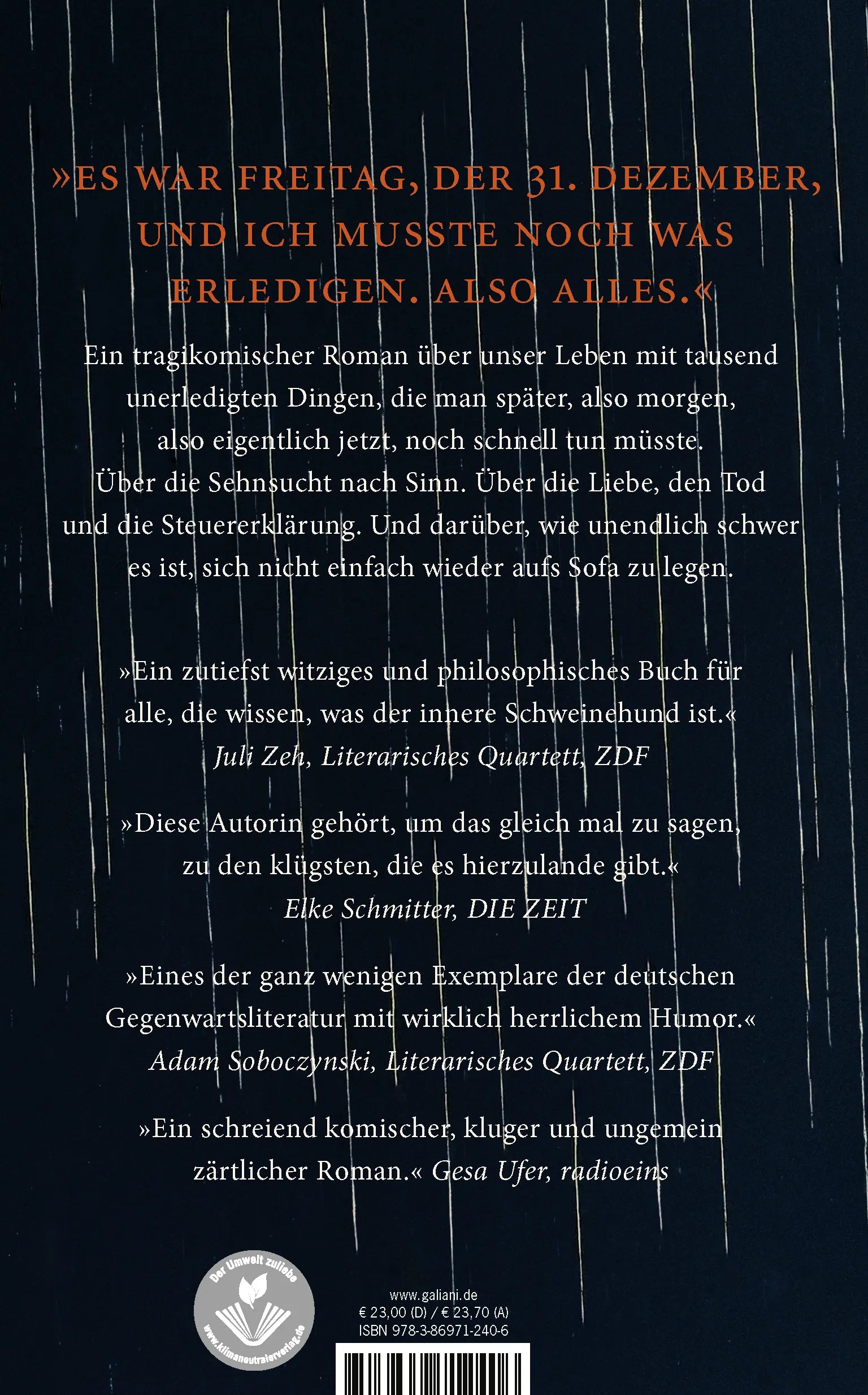 Buchrückseite von 'Kleine Probleme' mit Klappentext - Gebundene Ausgabe