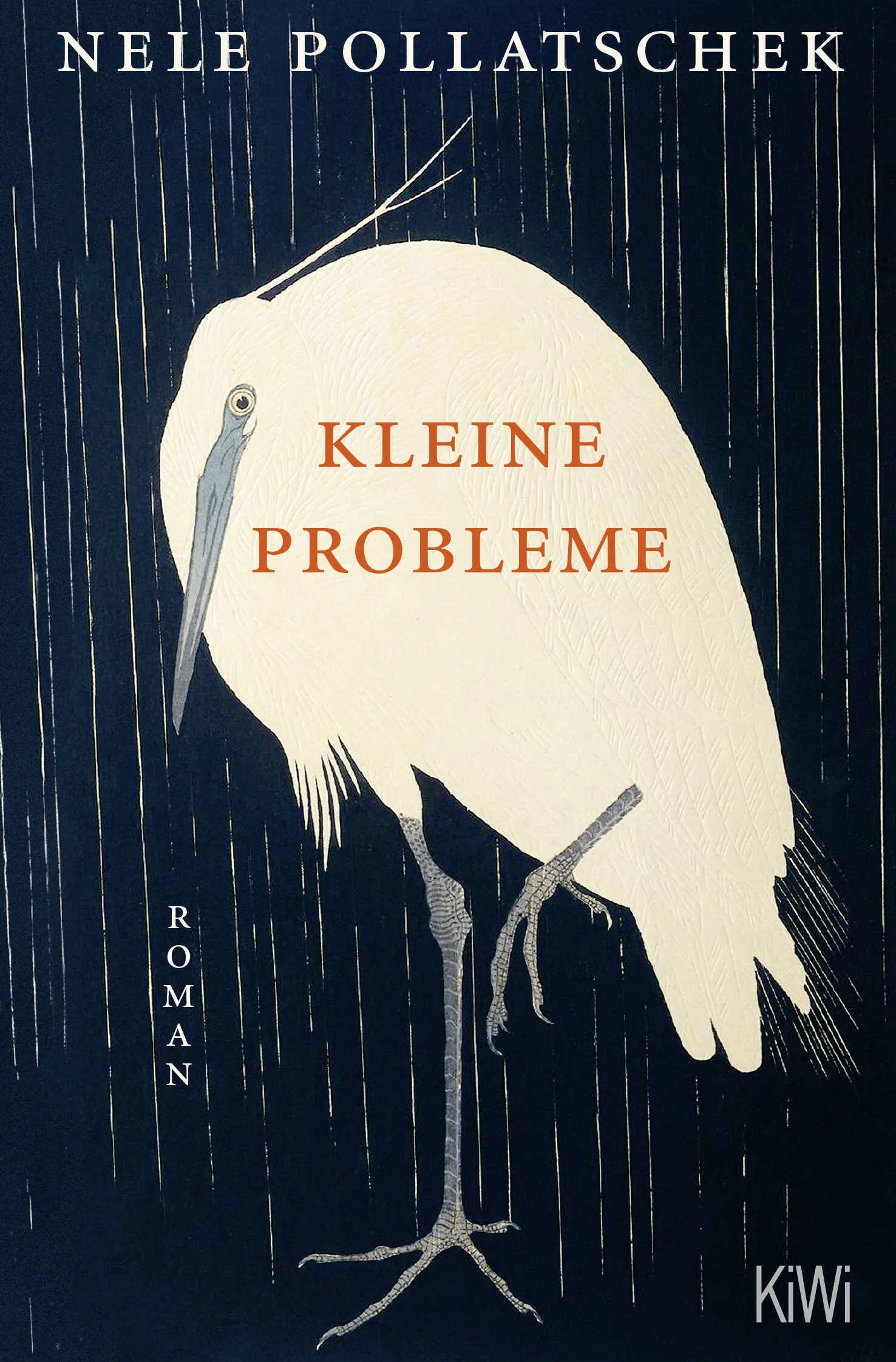 Buchcover von 'Kleine Probleme' - Taschenbuch von Nele Pollatschek