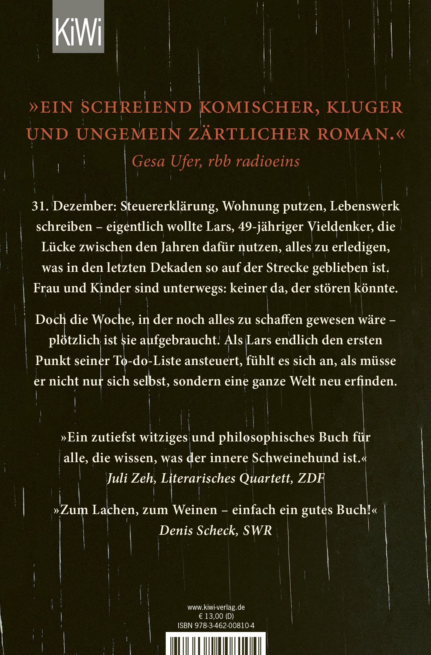 Buchrückseite von 'Kleine Probleme' mit Klappentext - Taschenbuch