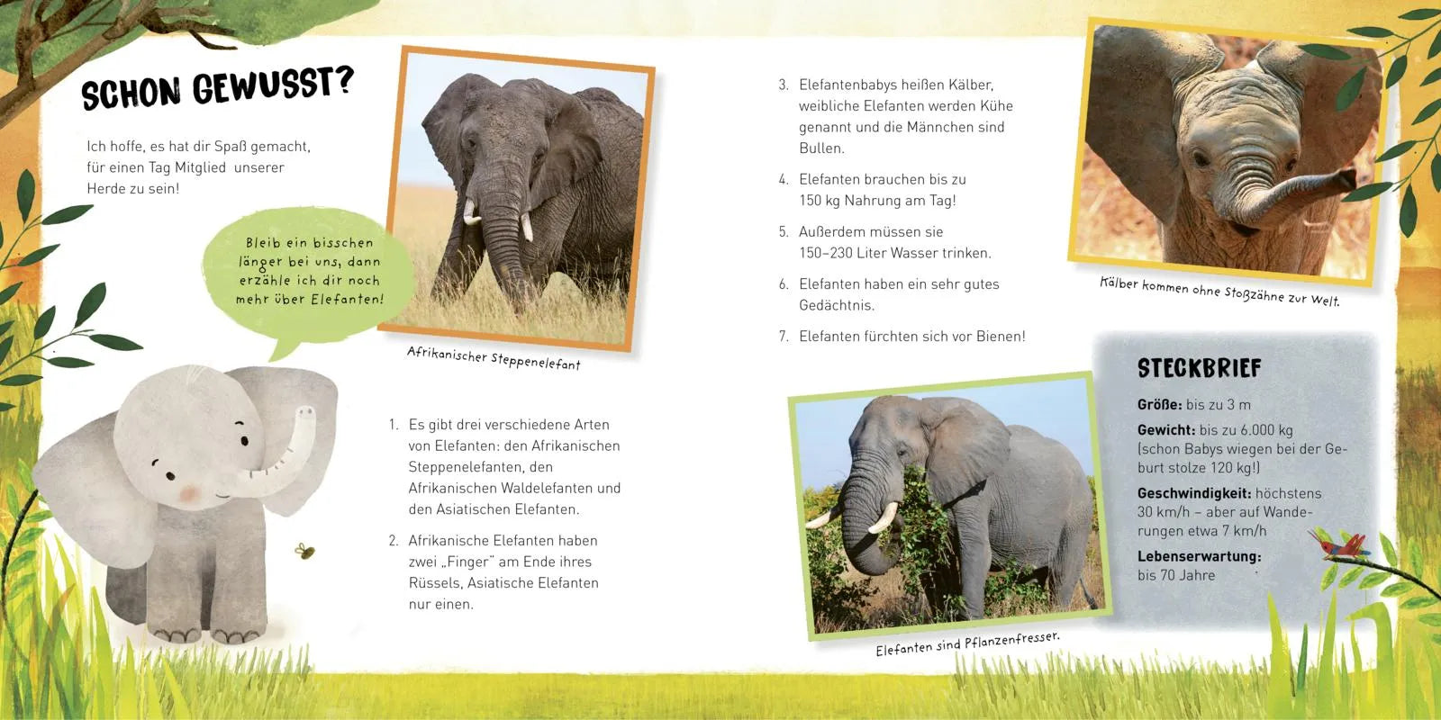 Abbildung von 'Kleine Tiere werden groß - Der Elefant'