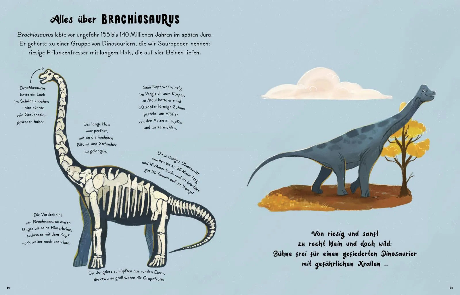 Detailansicht: Kleine und große Wunder der Dinosaurier (Hardcover)