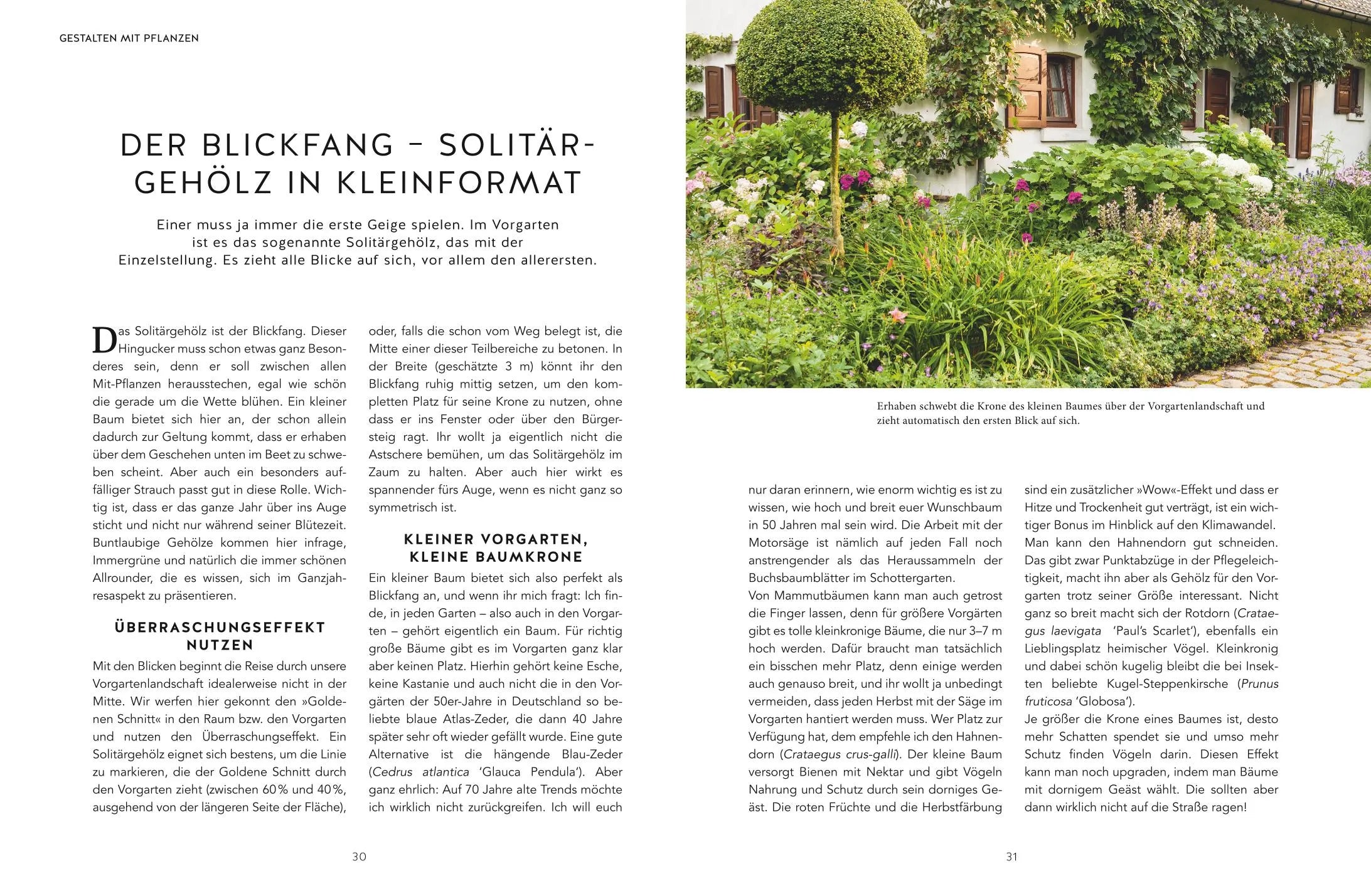Produktansicht: Kleine Vorgarten-Paradiese (Gebundene Ausgabe)