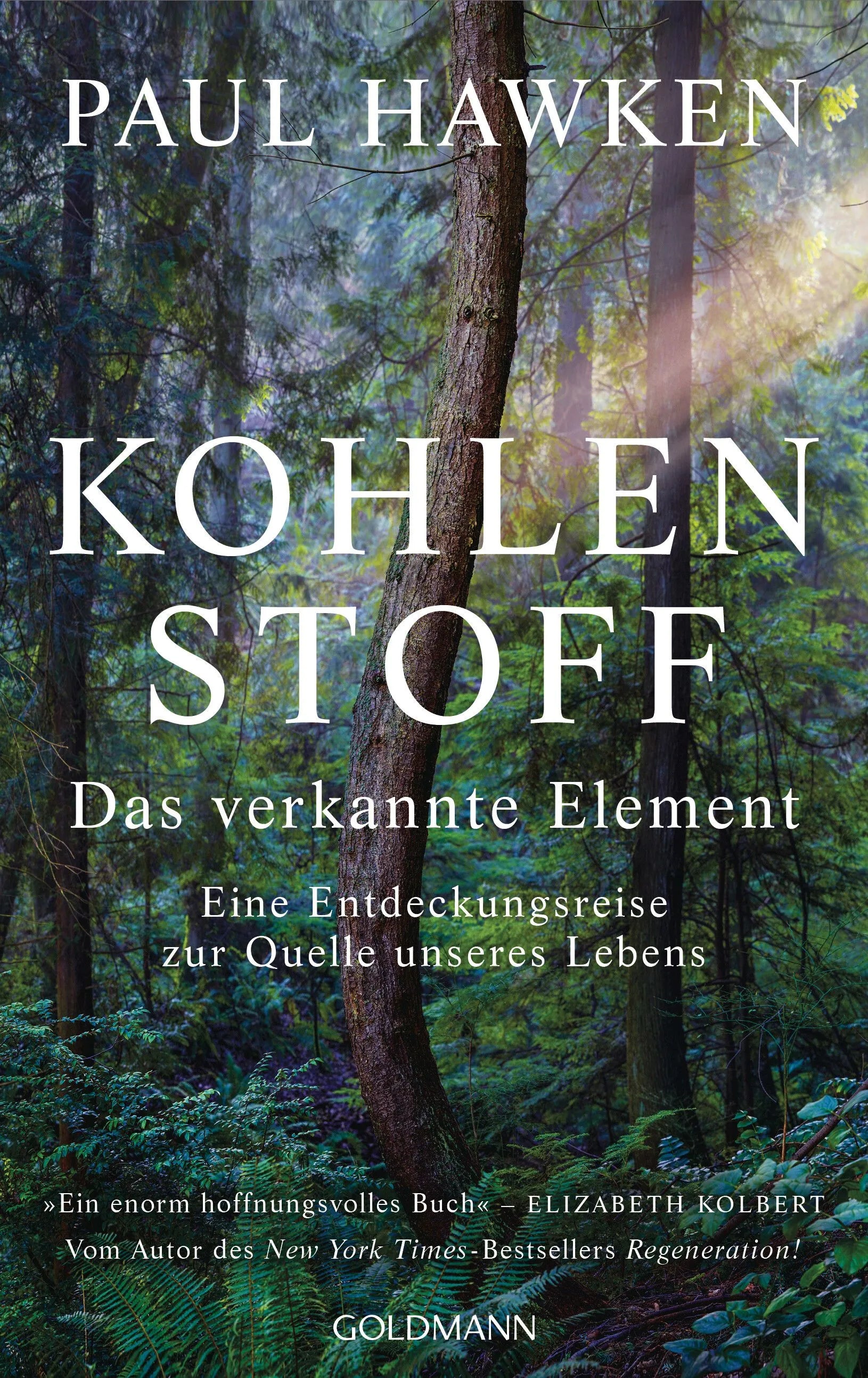 Cover: Kohlenstoff – Das verkannte Element (Hardcover) von Paul Hawken