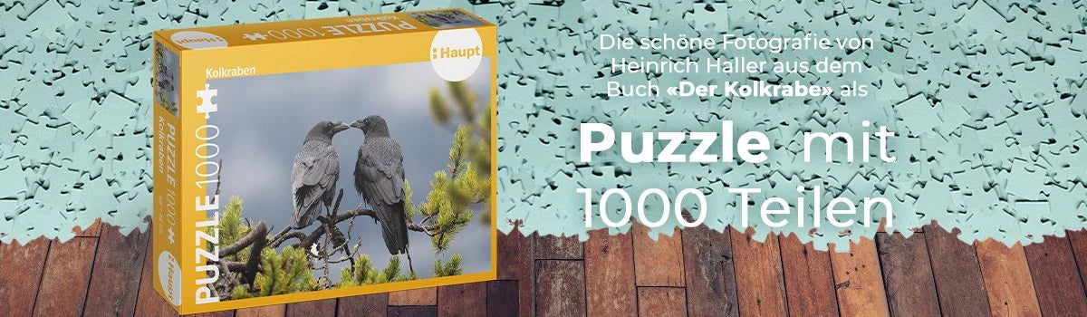 Kolkraben – Puzzle – Ansicht