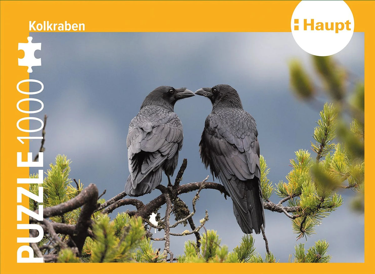 Puzzle: Kolkraben – Puzzle