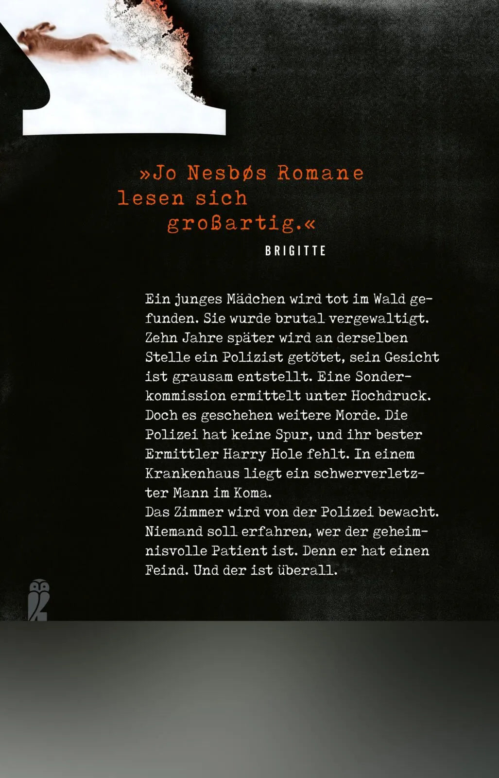 Rückseite: Koma (Taschenbuch)
