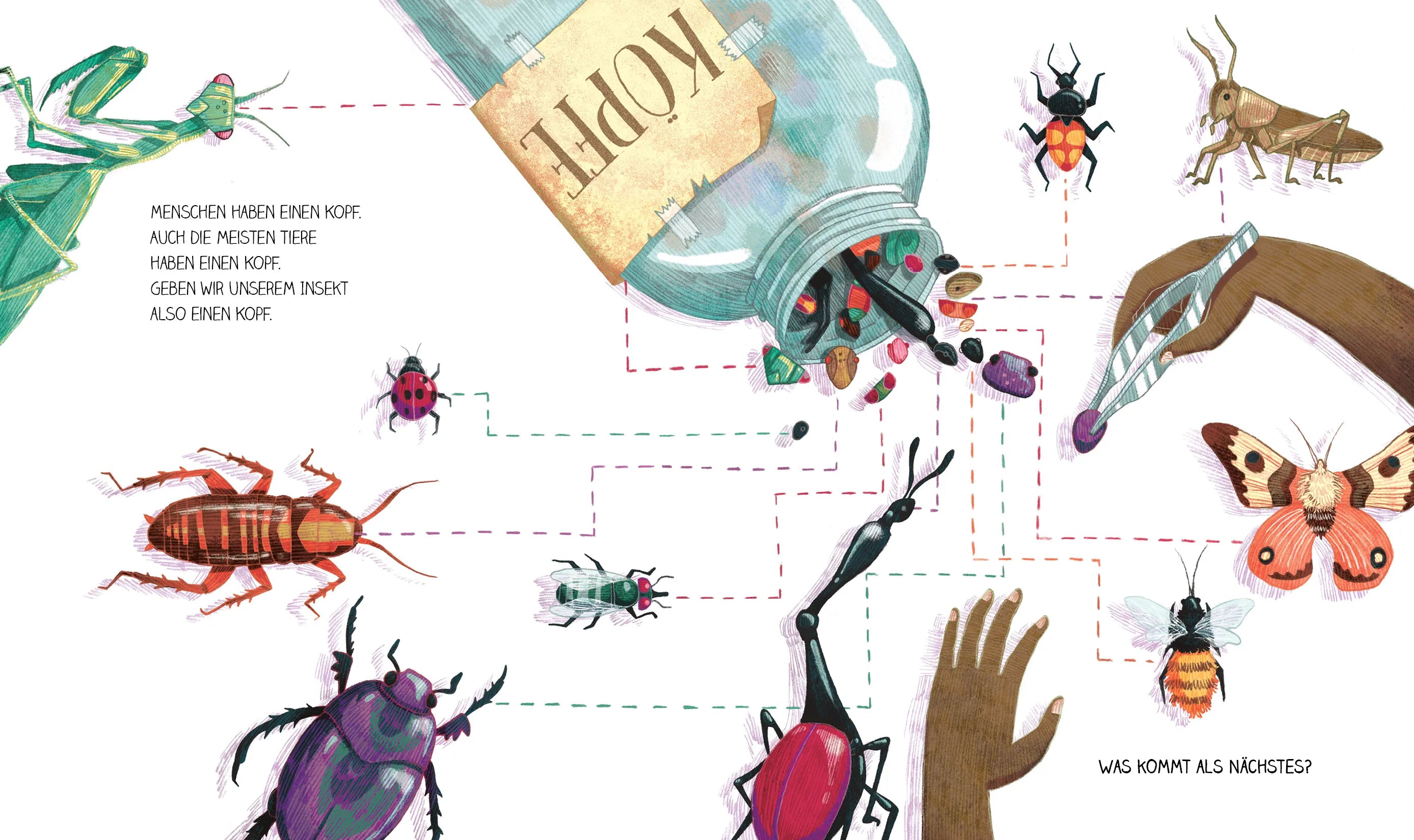 Produktansicht: Komm, wir entdecken ein Insekt! Den Krabbeltieren auf der Spur (Gebundene Ausgabe)