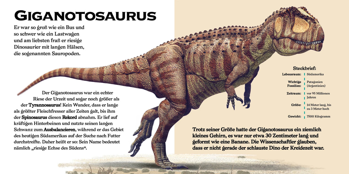 Konturenpuzzle T-Rex – Ansicht