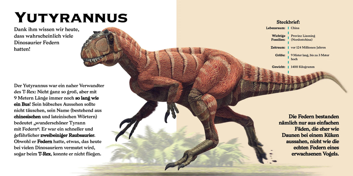 Konturenpuzzle T-Rex – Ansicht
