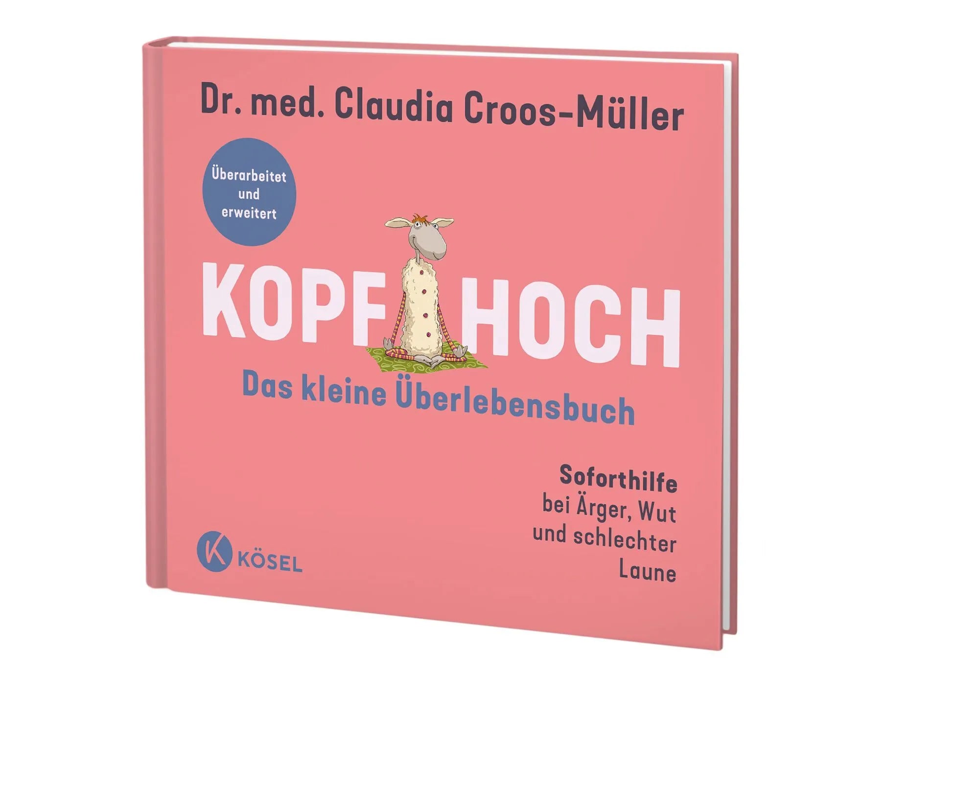 Detailansicht: Kopf hoch – das kleine Überlebensbuch (Hardcover)