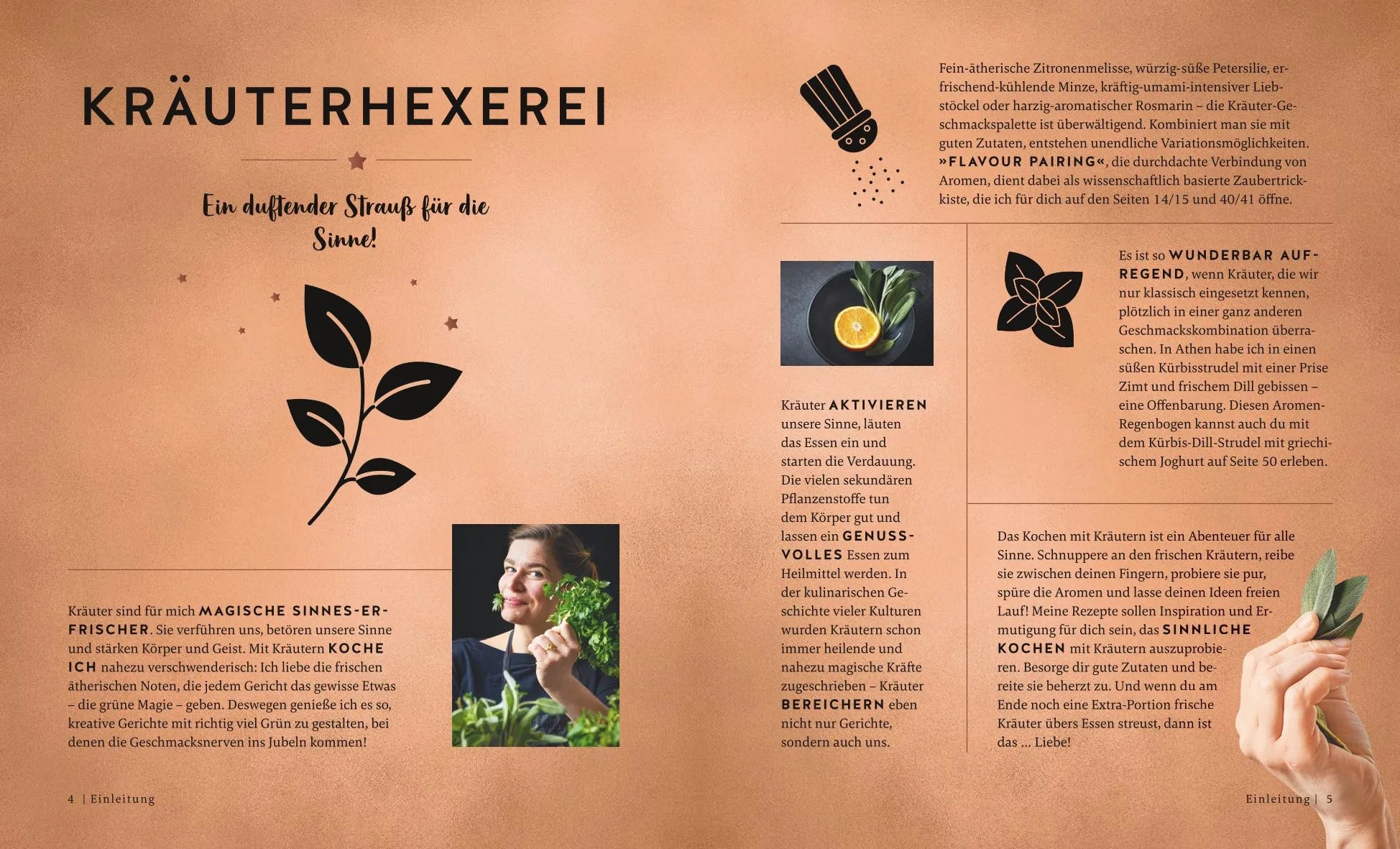Detailansicht: Kräuterküche (Hardcover)