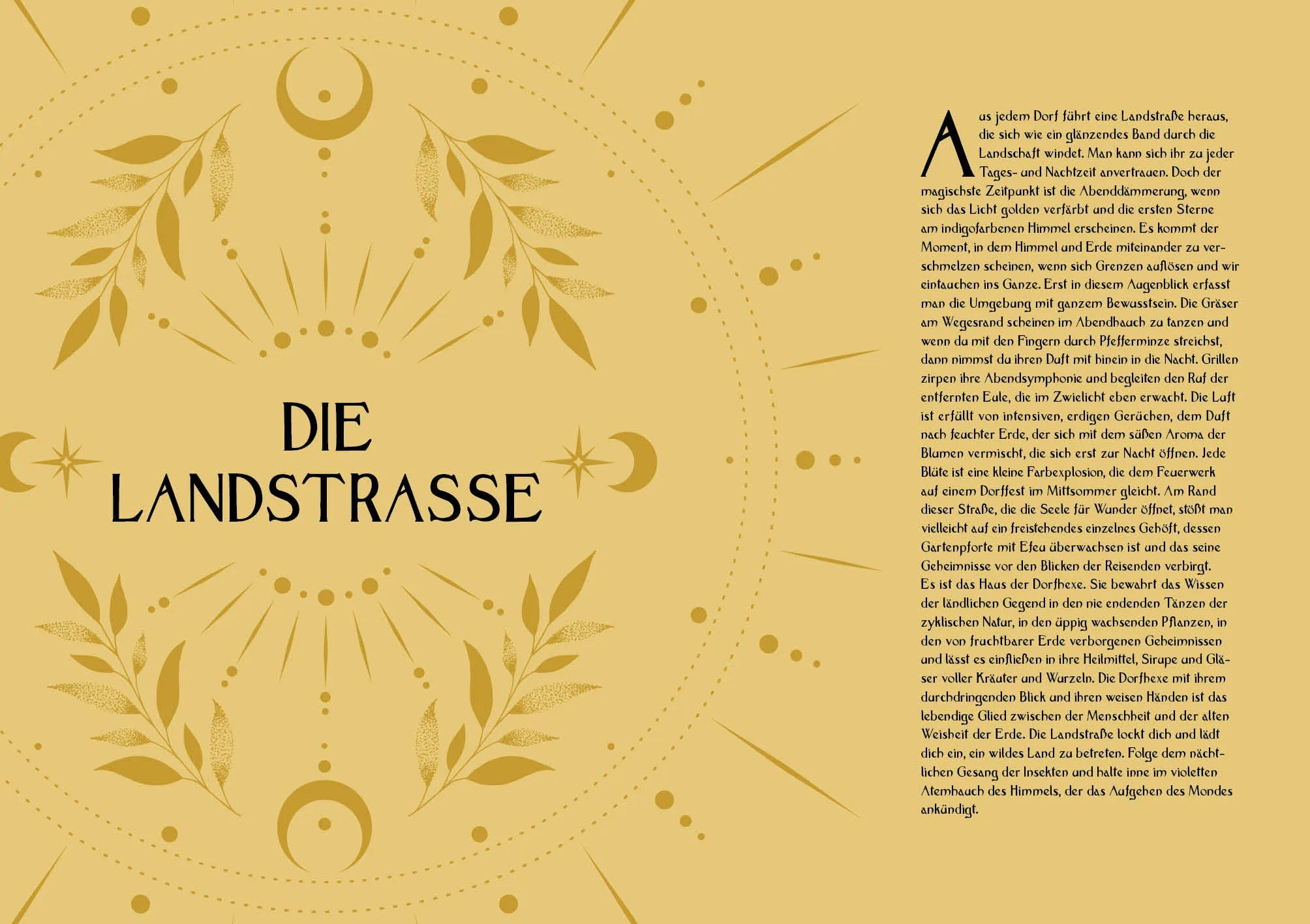 Innenansicht von 'Kräuterkraft & Hexenmacht' - Gebundene Ausgabe