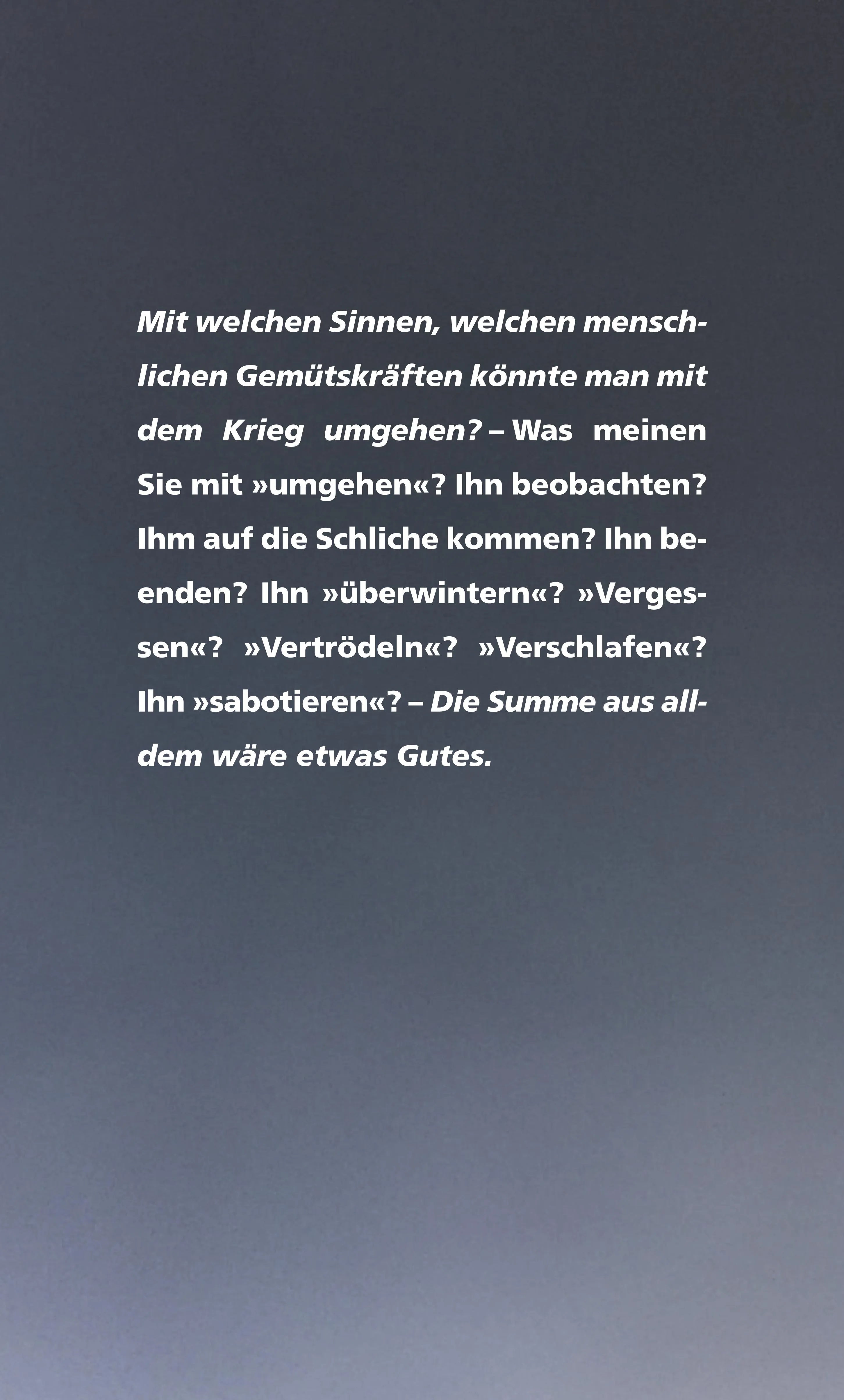 Buchrückseite von 'Kriegsfibel 2023' mit Klappentext - Gebundene Ausgabe