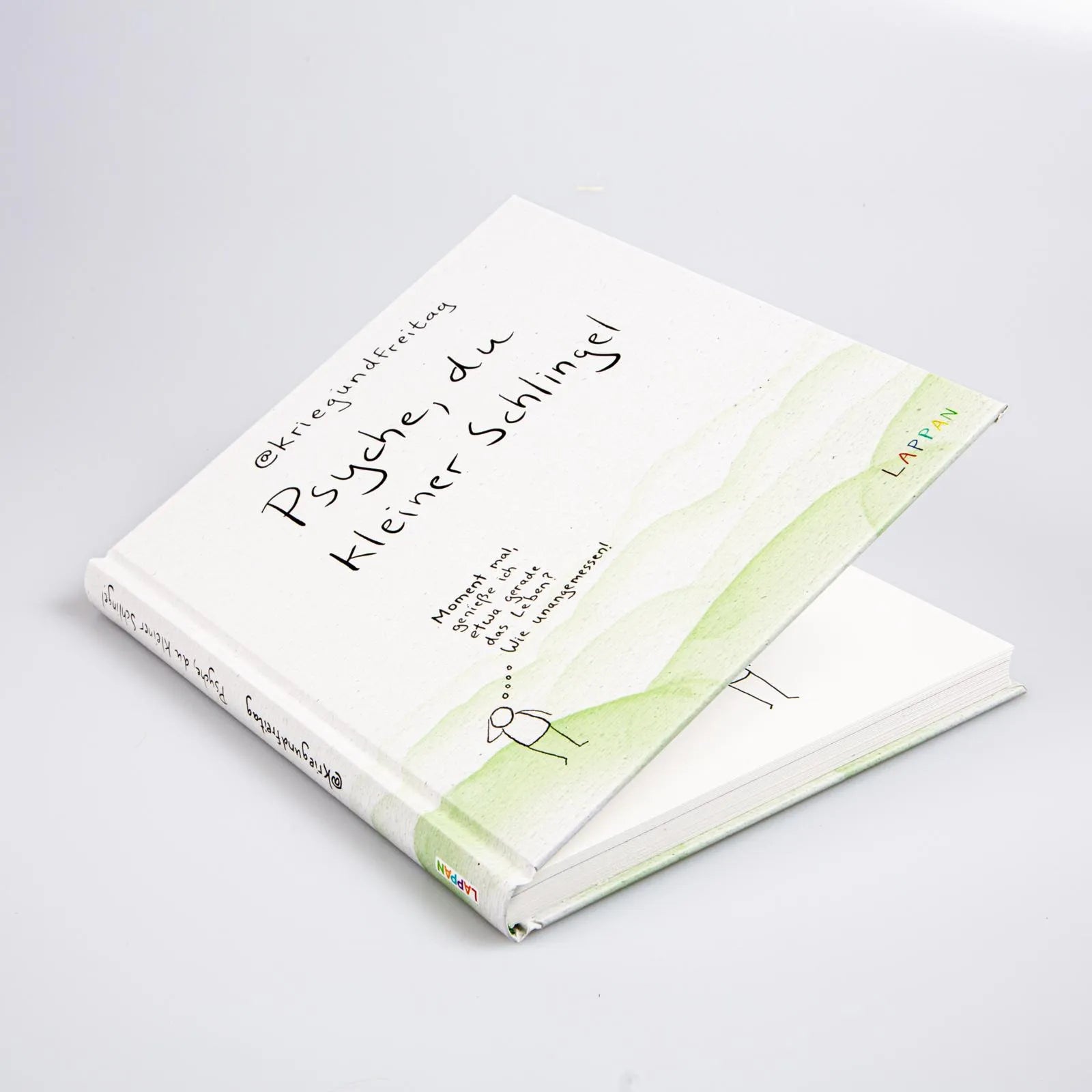 Produktansicht: kriegundfreitag: Psyche, du kleiner Schlingel (Gebundene Ausgabe)