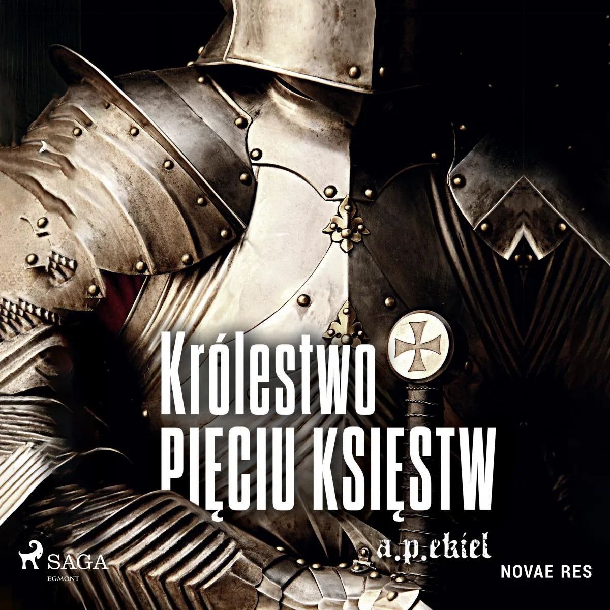 Cover: Królestwo Pięciu Księstw (Hörbuch Download) von A. P. Ekiel