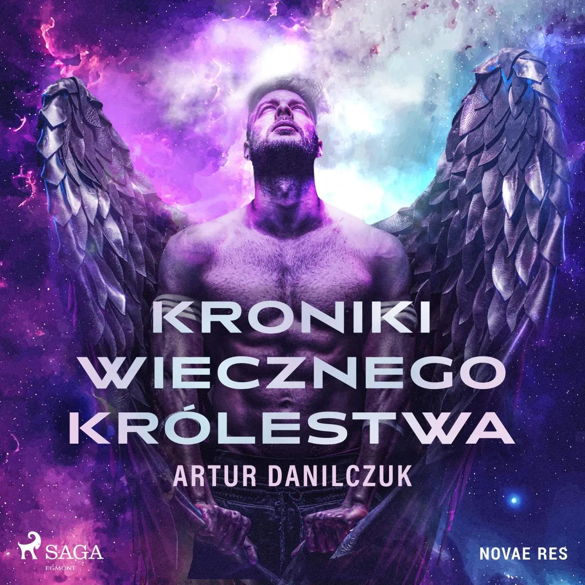 Cover: Kroniki Wiecznego Królestwa (Hörbuch Download) von Artur Danilczuk