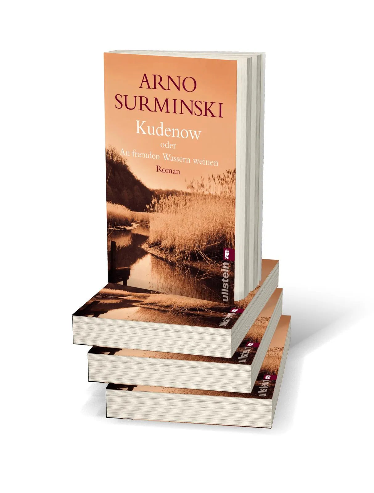 Produktansicht: Kudenow oder An fremden Wassern weinen (Taschenbuch)