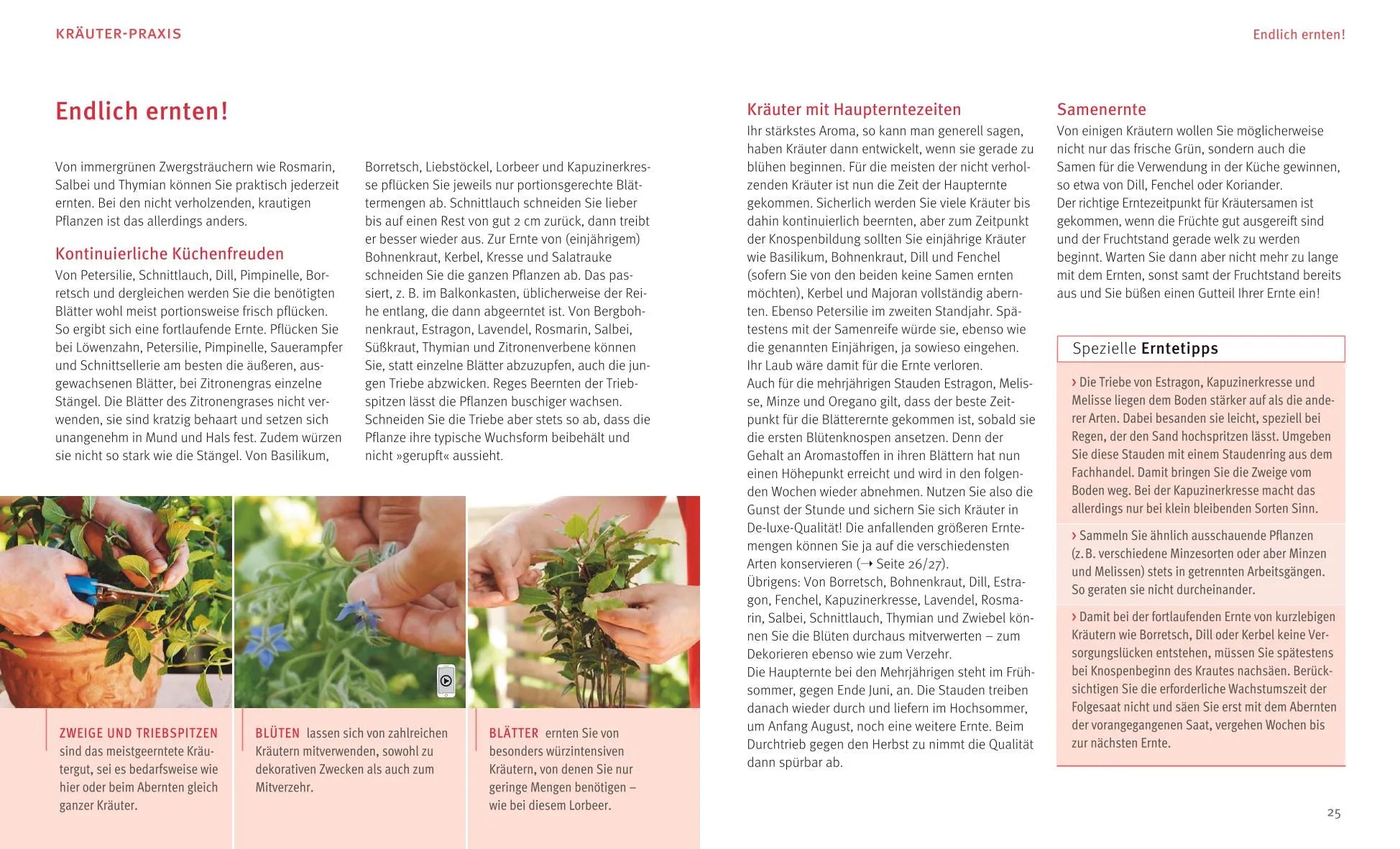 Produktansicht: Küchenkräuter in Töpfen (Taschenbuch)