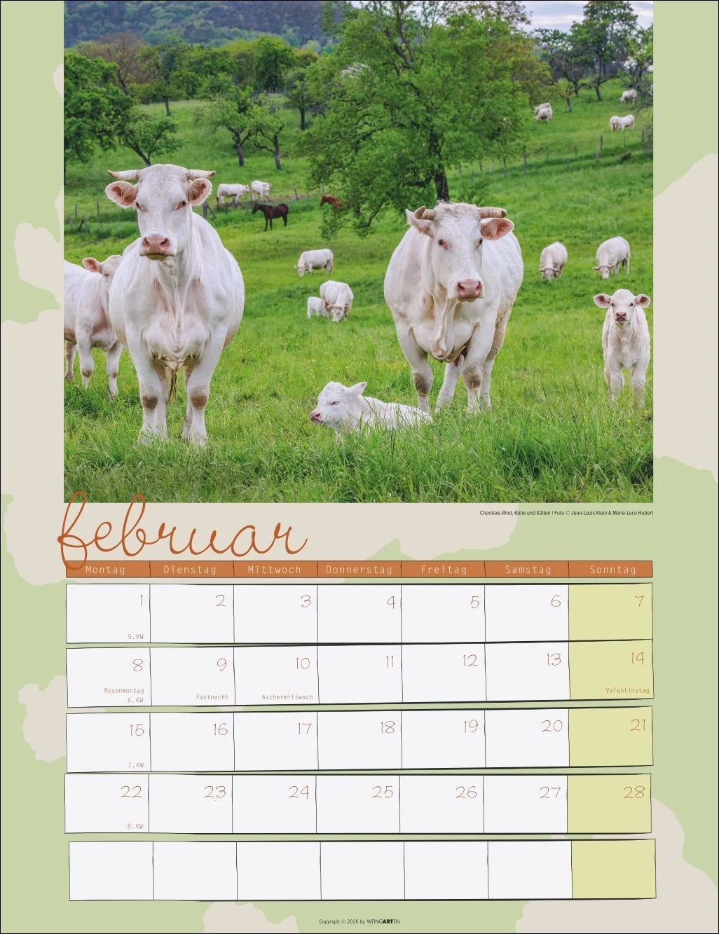 Kuh Kalender 2027 – Ansicht