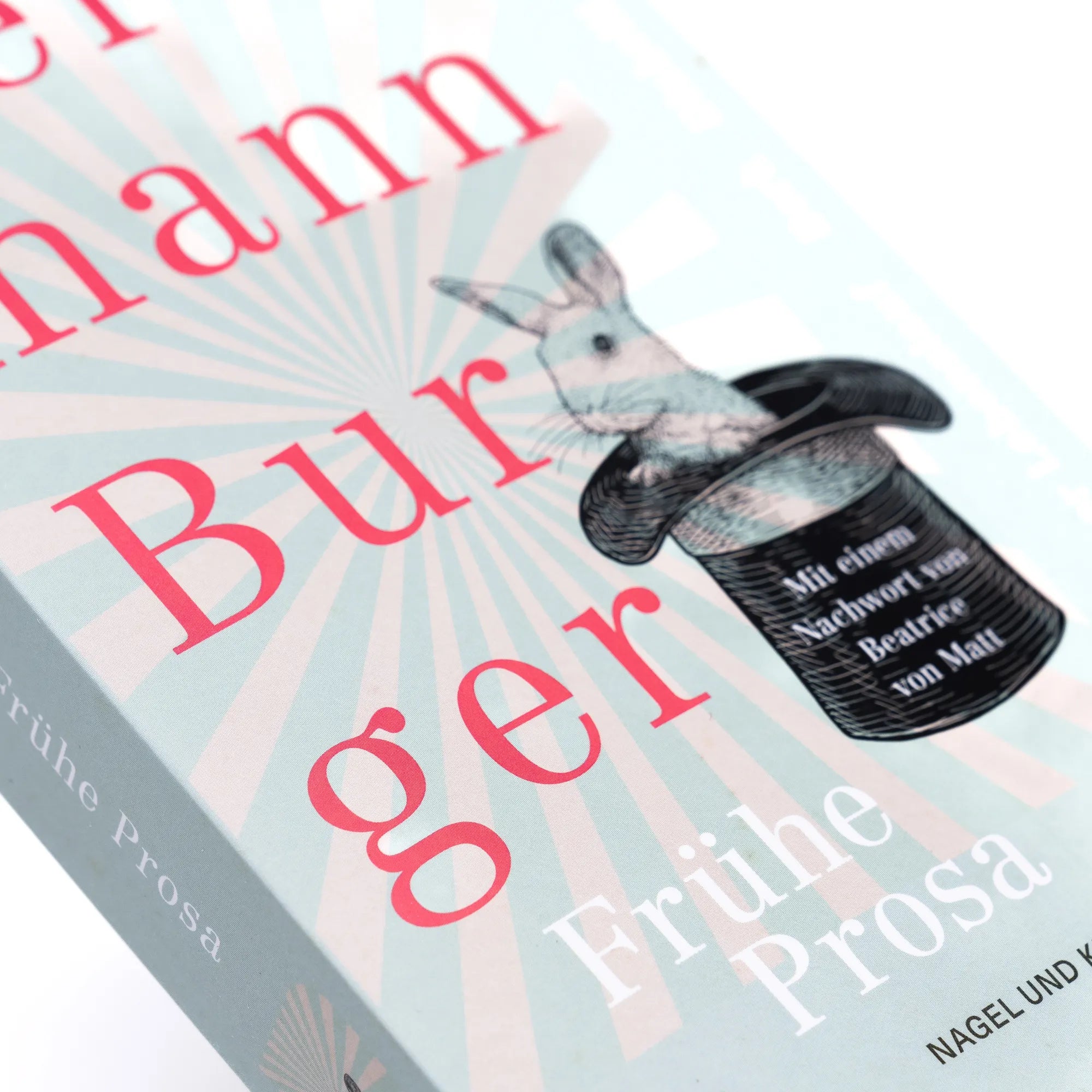 Produktansicht: Kurzgefasster Lebenslauf und andere frühe Prosa. Bork. Diabelli (Taschenbuch)