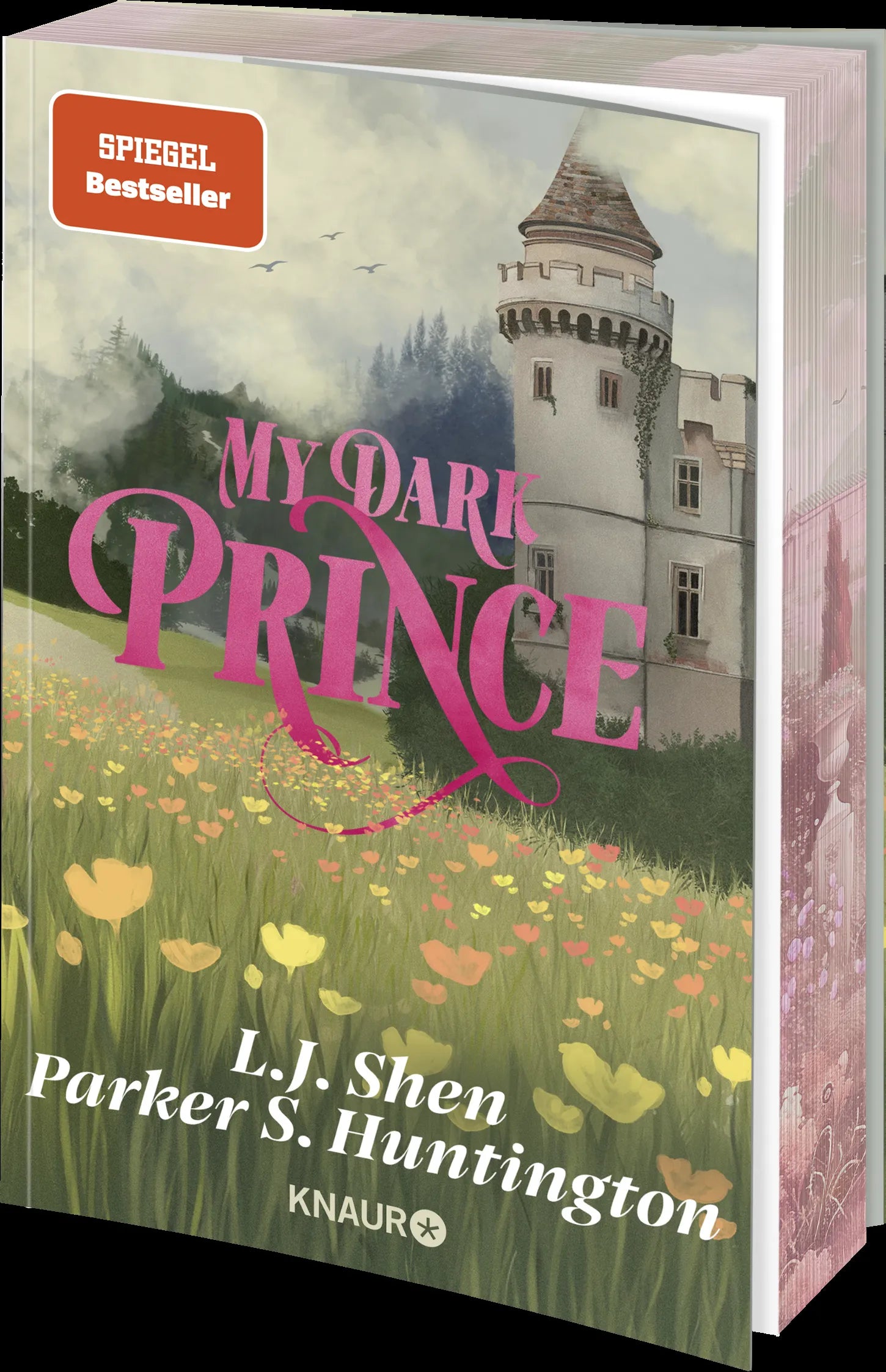Produktansicht: My Dark Prince (Paperback)
