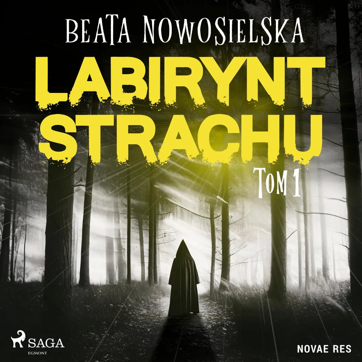 Cover: Labirynt strachu. Tom 1 (Hörbuch Download) von Beata Nowosielska