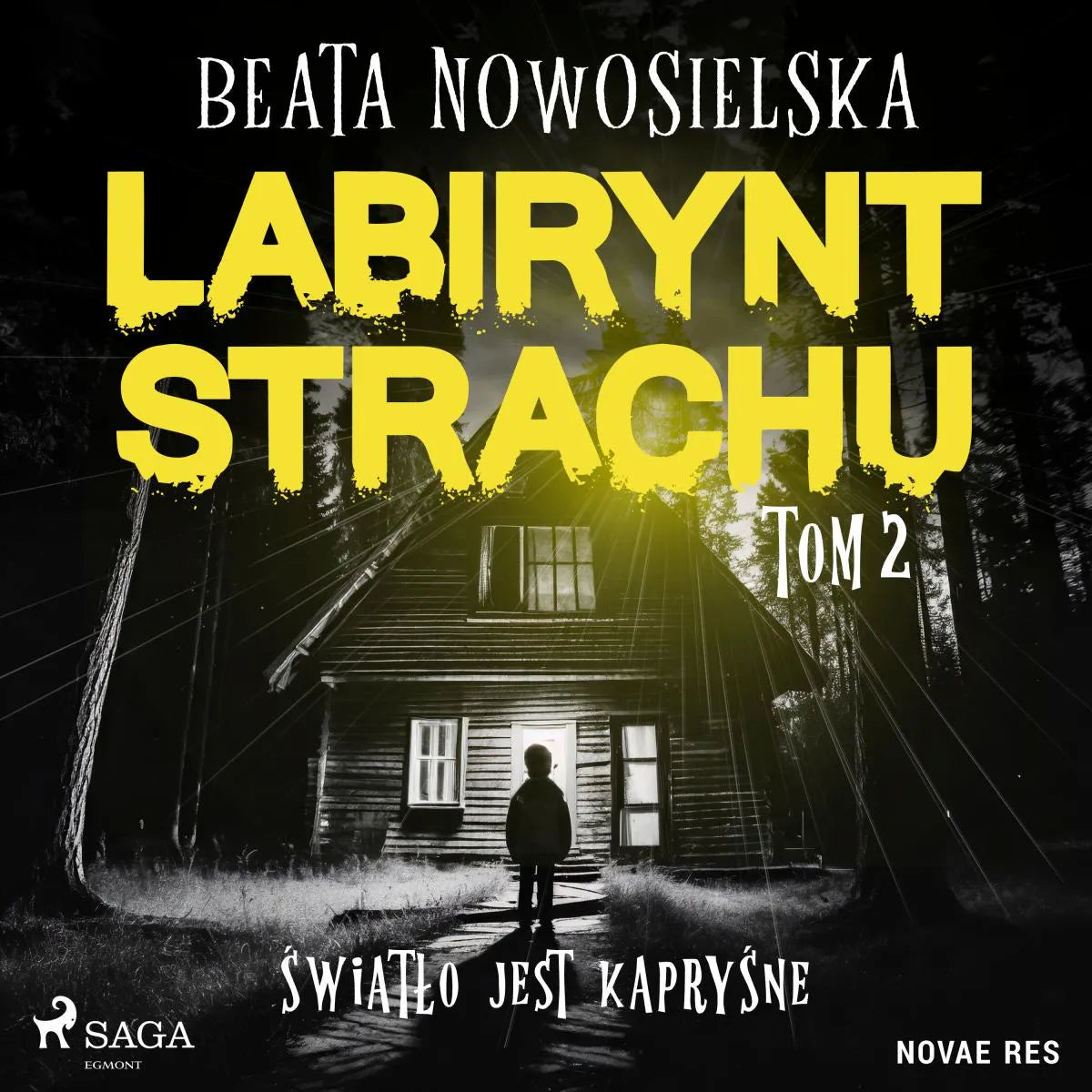 Cover: Labirynt strachu. Tom 2. Światło jest kapryśne (Hörbuch Download) von Beata Nowosielska