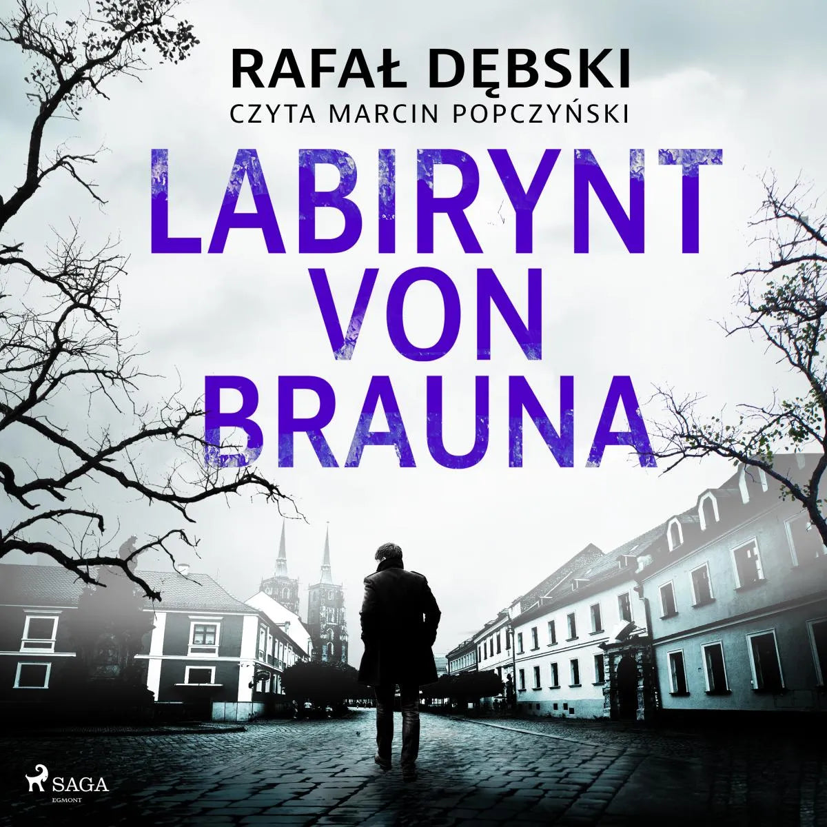 Cover: Labirynt von Brauna (Hörbuch Download) von Rafal Debski