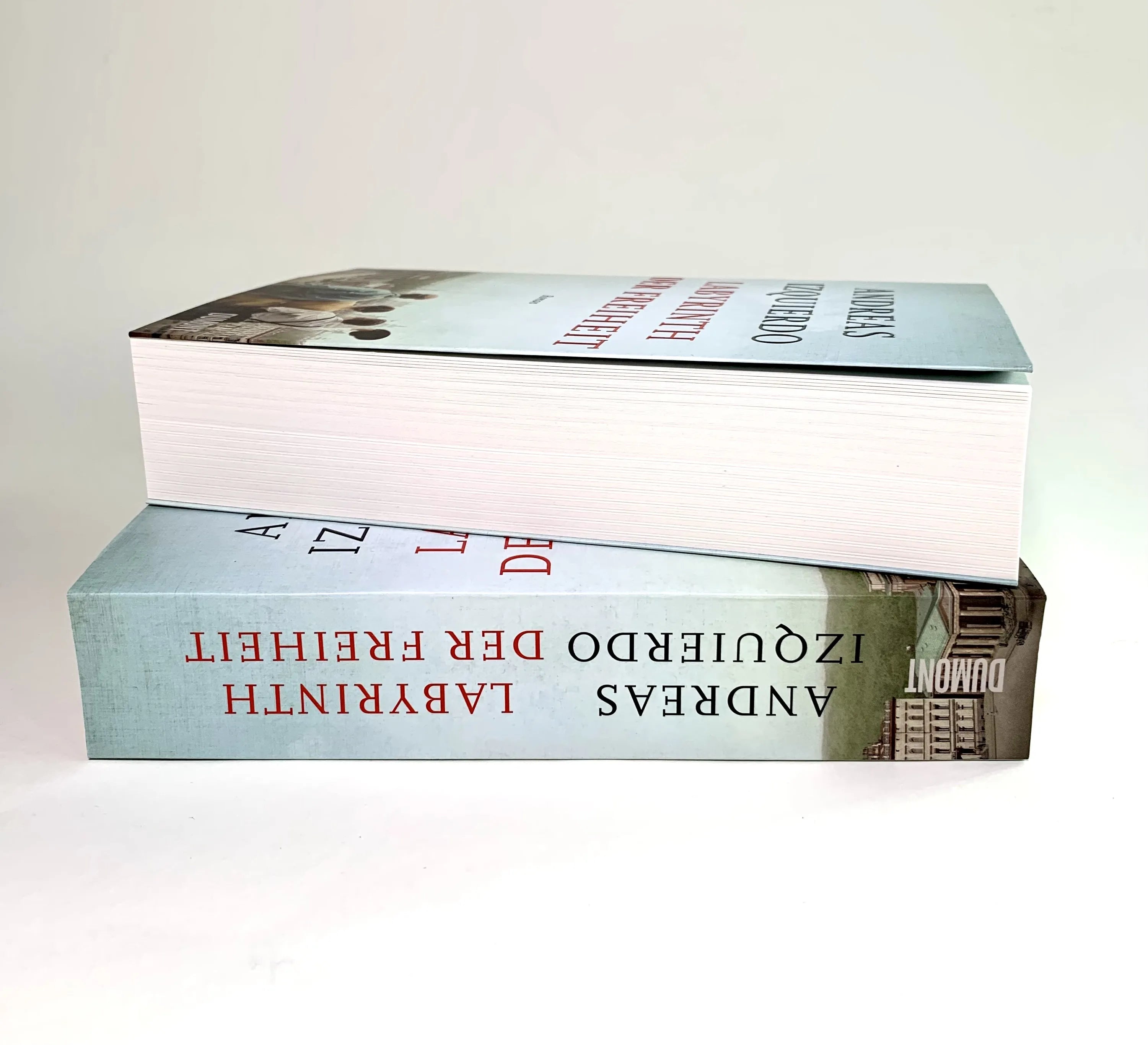 Produktansicht: Labyrinth der Freiheit (Paperback)