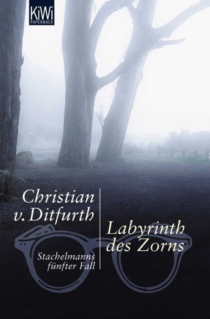 Buchcover von 'Labyrinth des Zorns' - Taschenbuch von Christian von Ditfurth